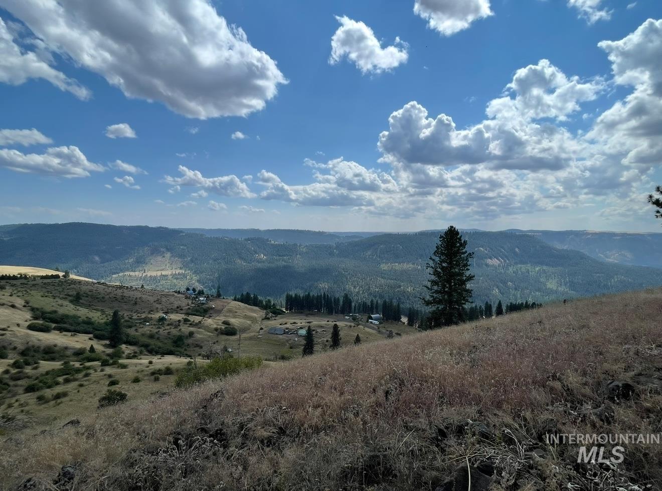 Tbd Mountain Top Drive Property Photo 44