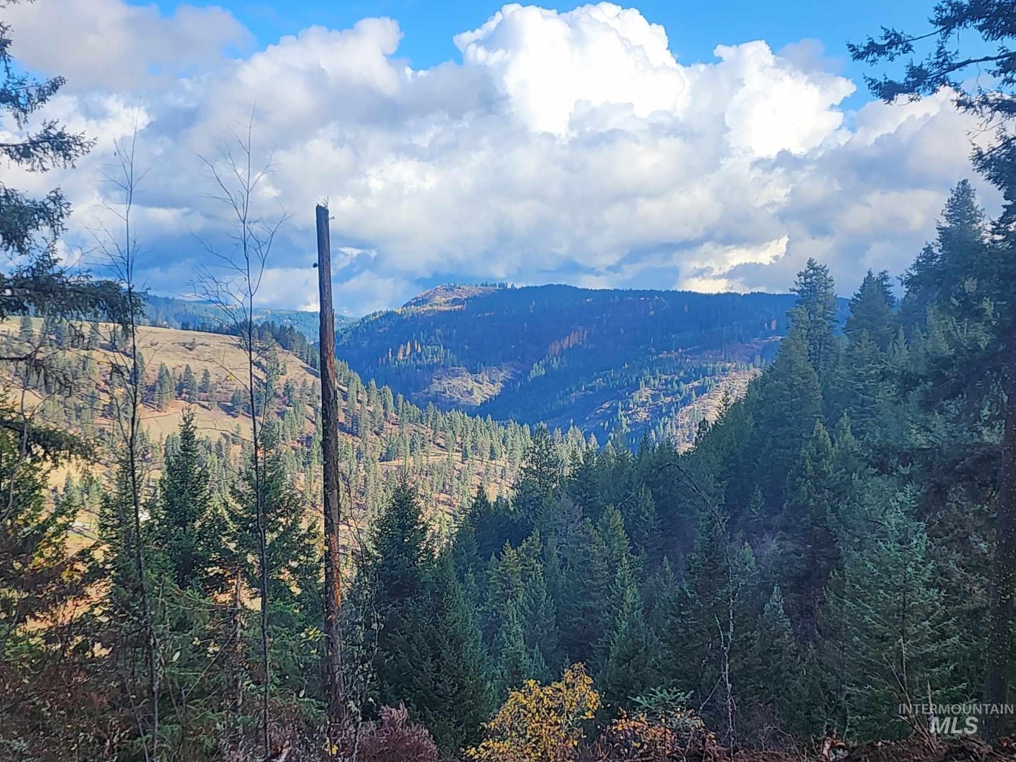 Tbd Mountain Top Drive Property Photo 45