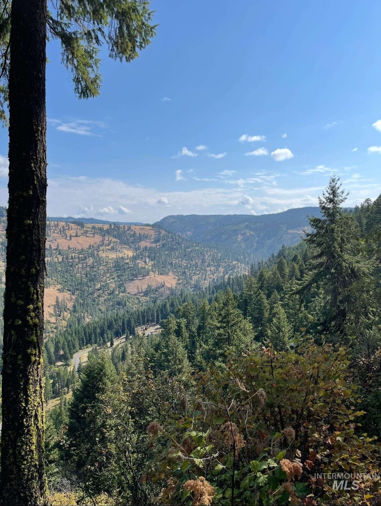 Tbd Mountain Top Drive Property Photo 46