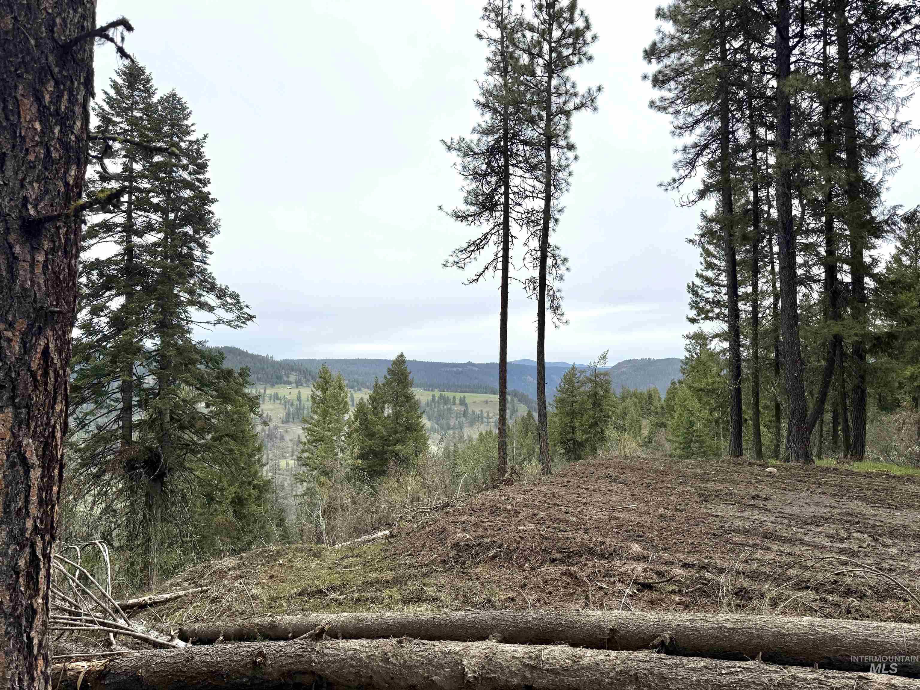 Tbd Mountain Top Drive Property Photo 49