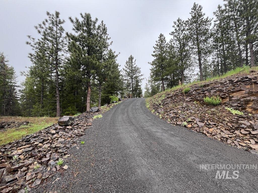 2491 Old Whitebird Hill Rd Property Photo 47
