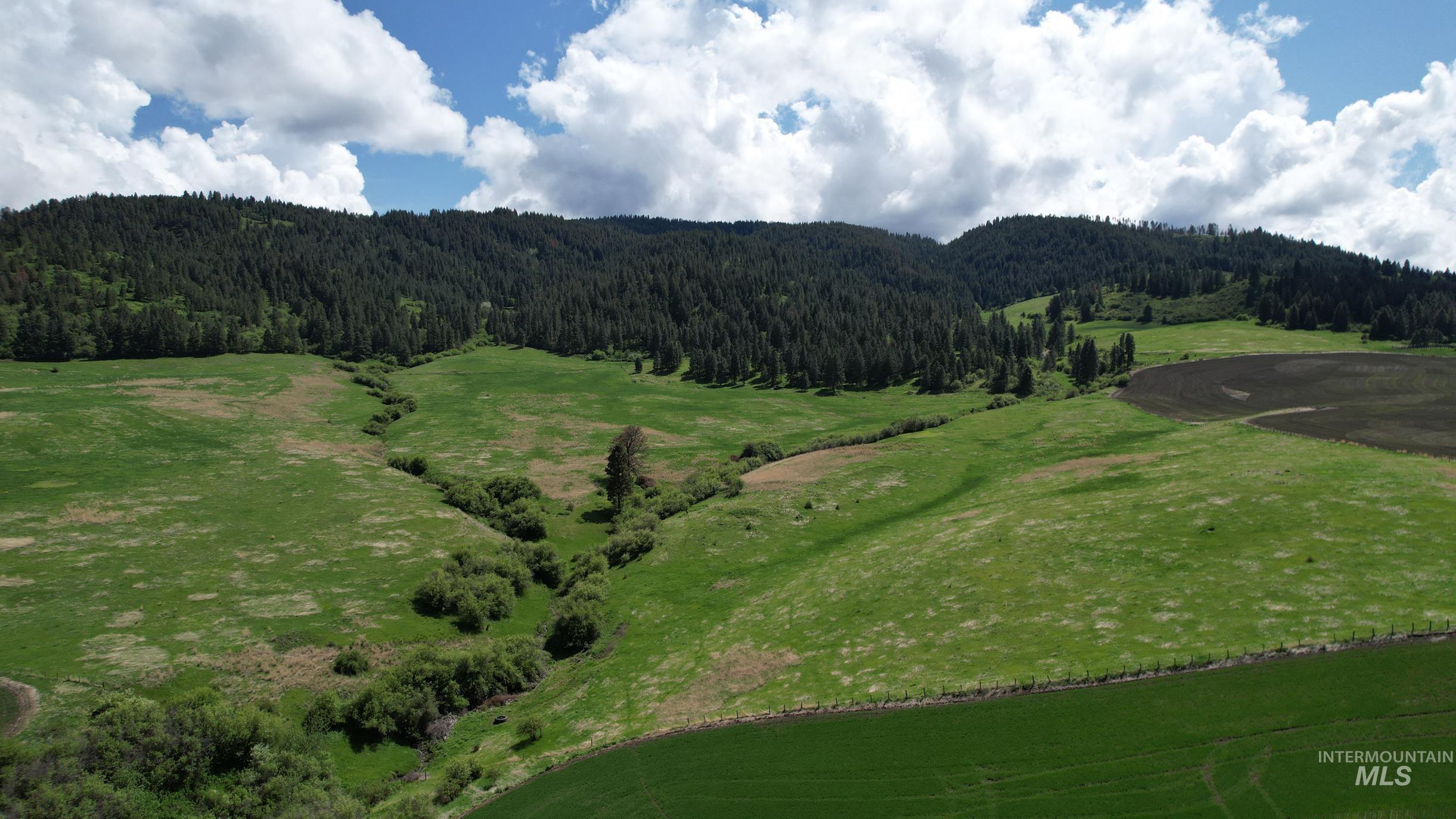 Tbd Slickpoo Road Property Photo 3