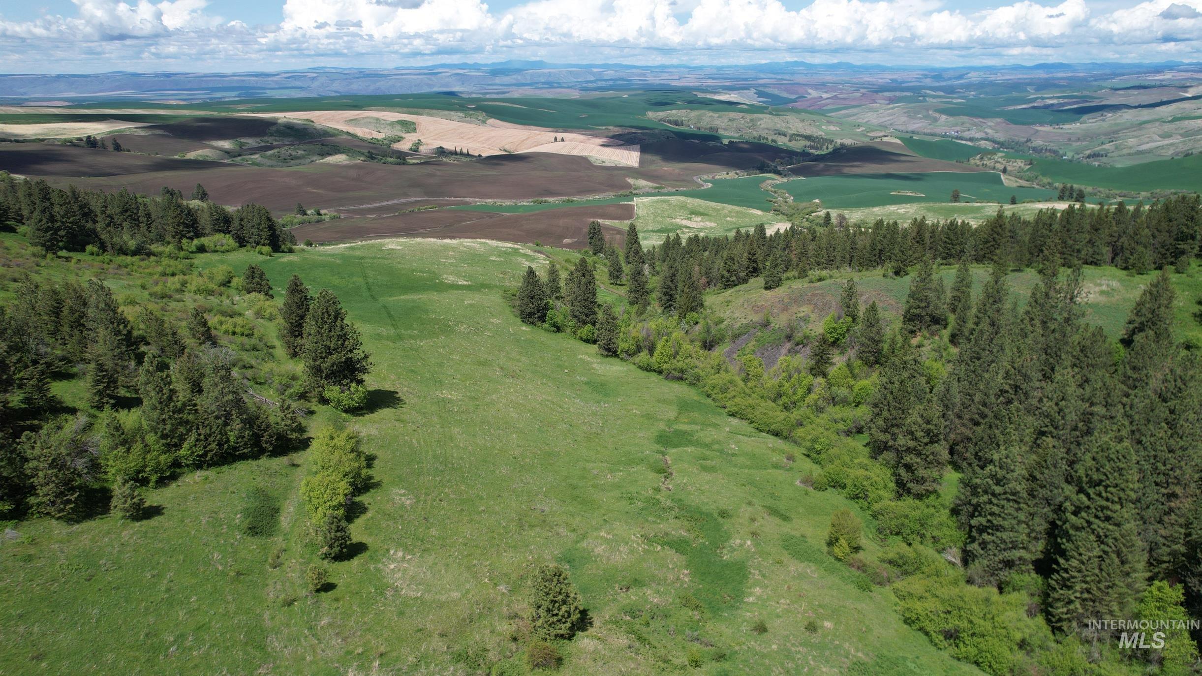 Tbd Slickpoo Road Property Photo 6