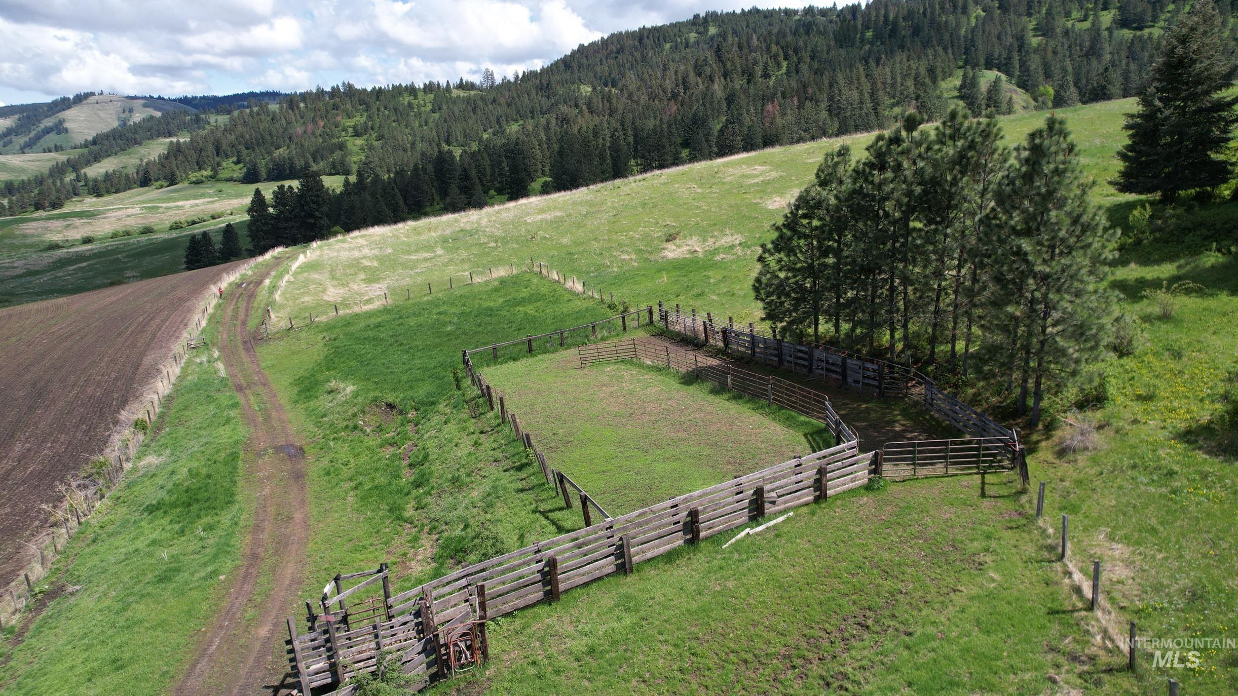 Tbd Slickpoo Road Property Photo 8