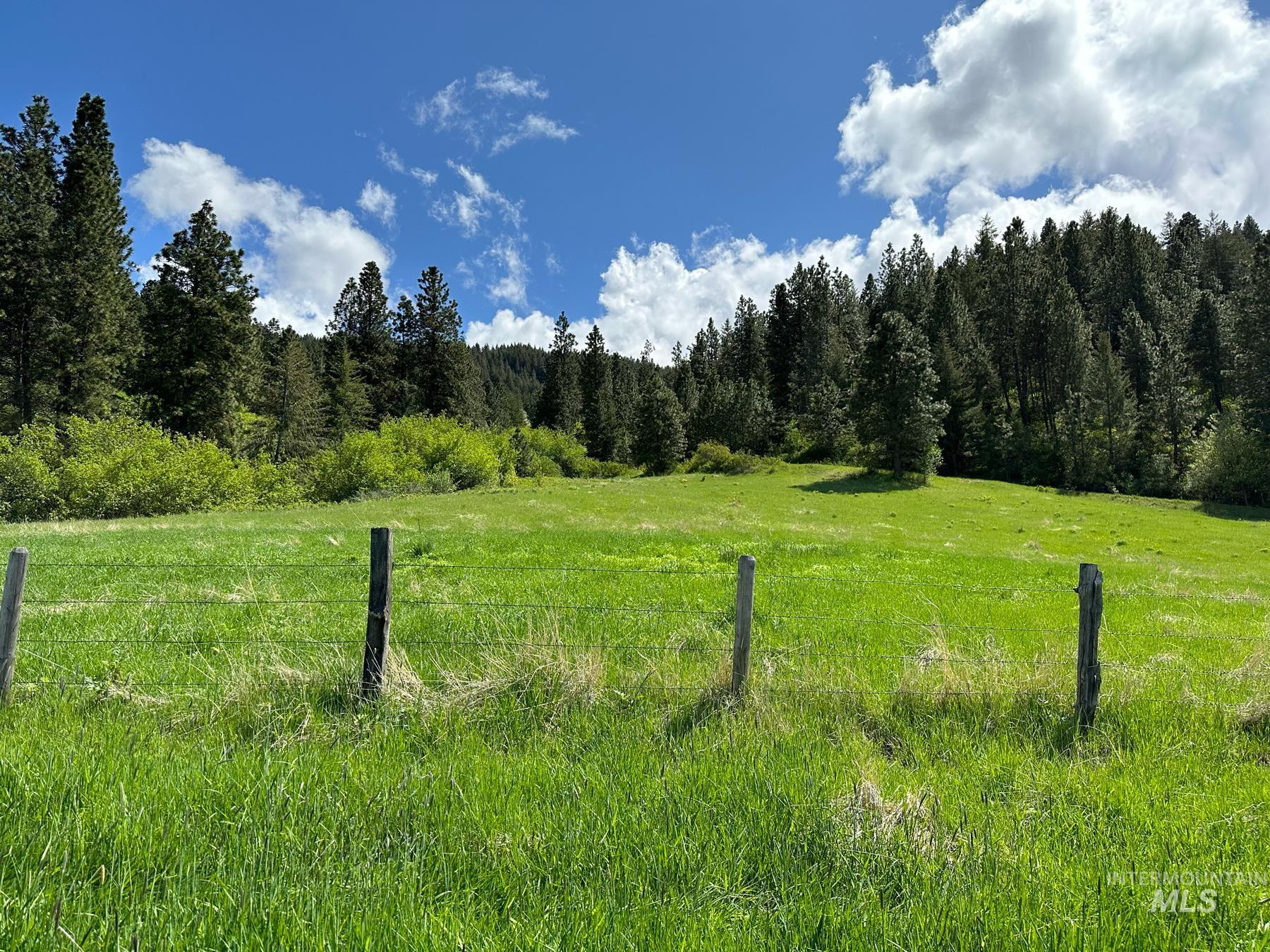 Tbd Slickpoo Road Property Photo 11
