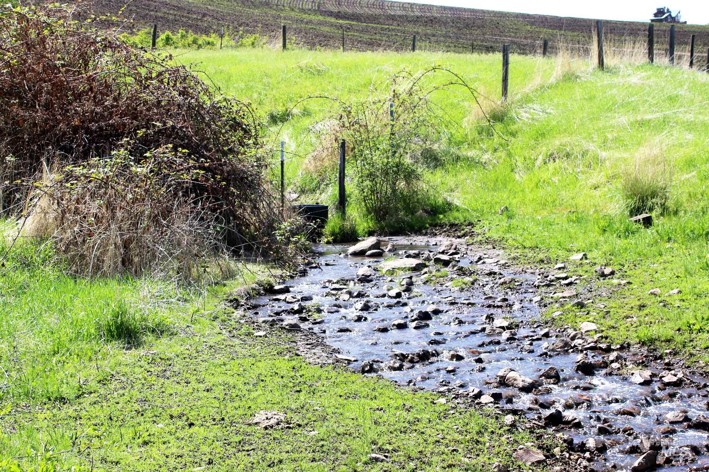 Tbd Slickpoo Road Property Photo 12