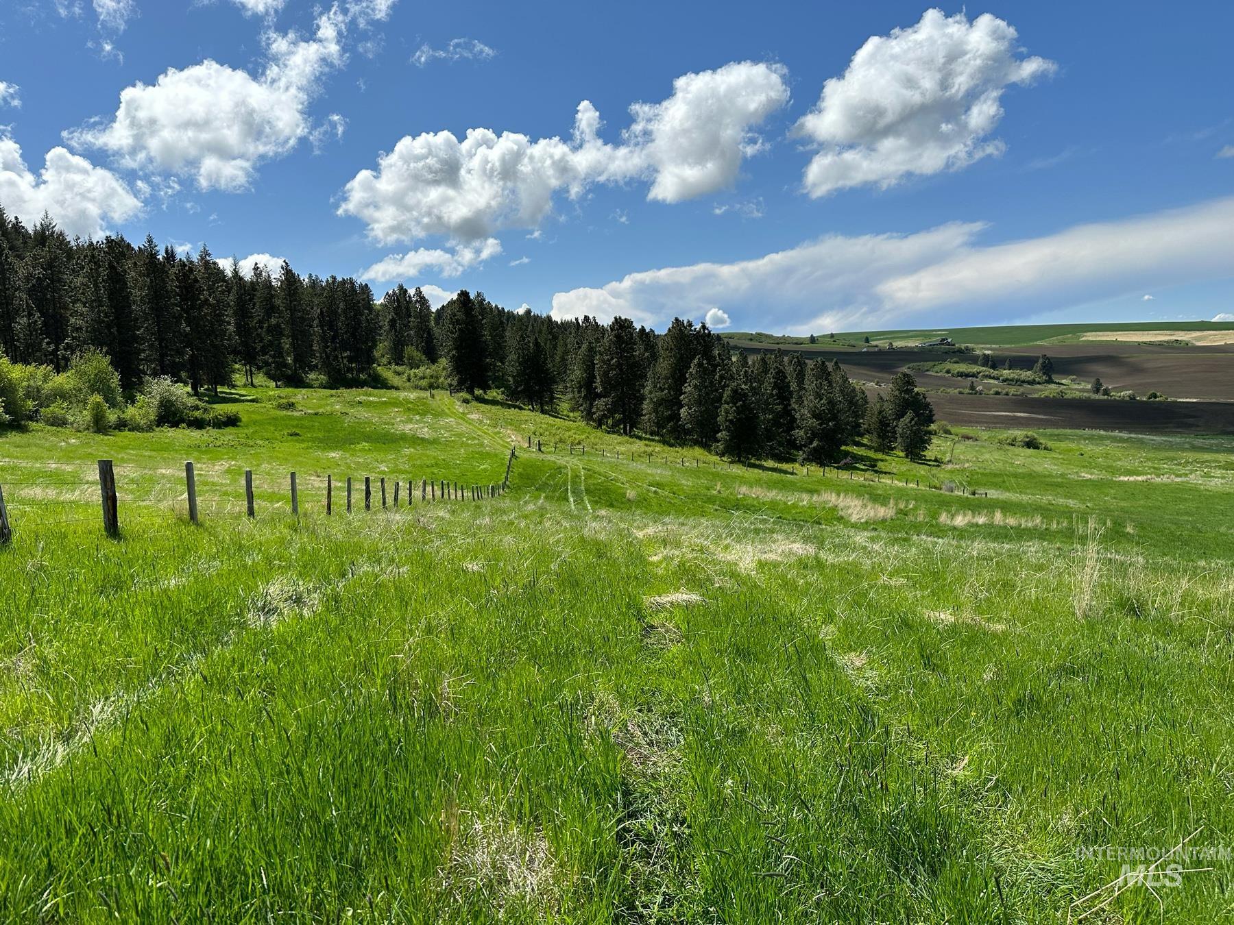 Tbd Slickpoo Road Property Photo 14