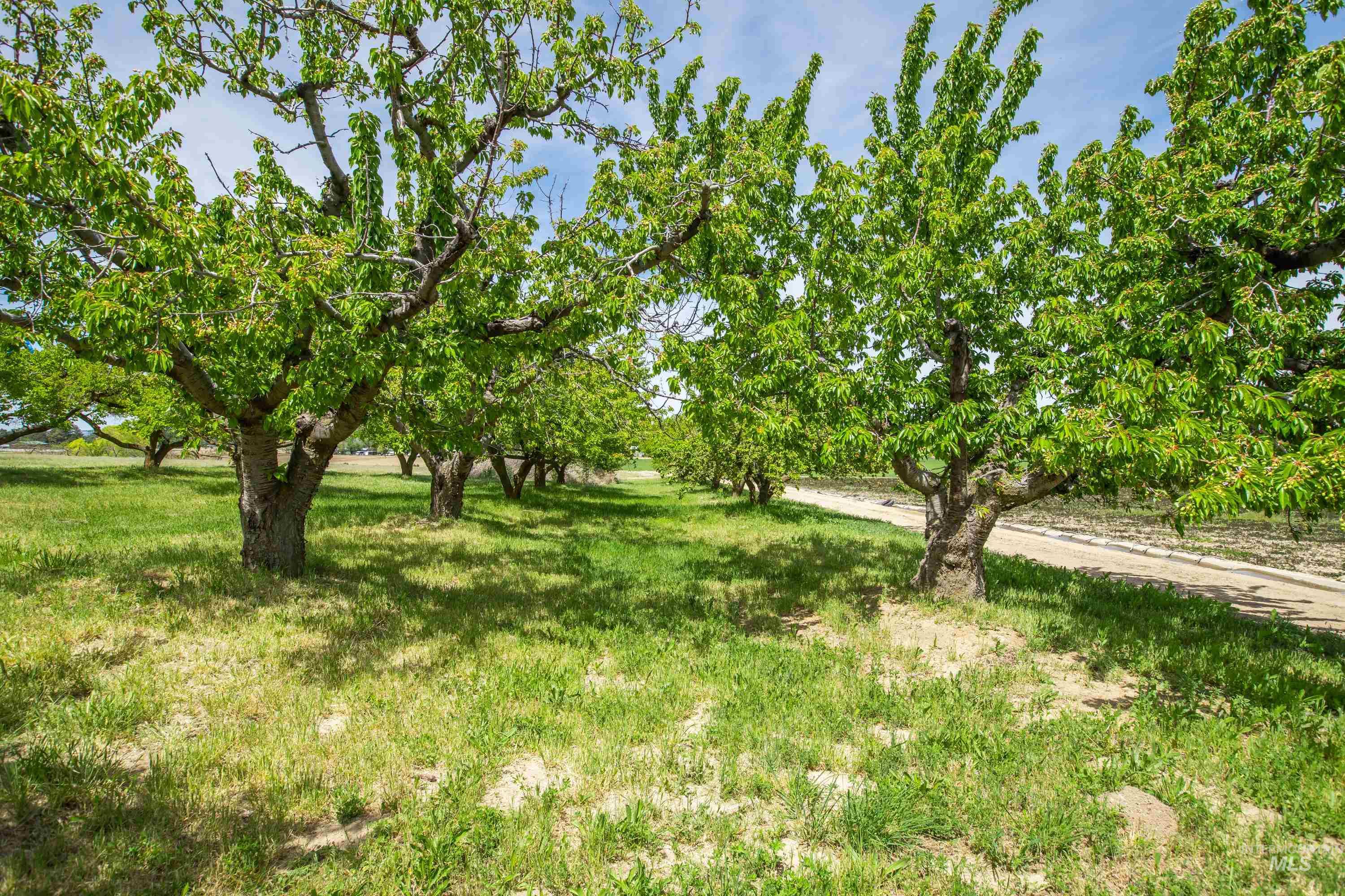 13005 Lake Shore Dr. Property Photo 7