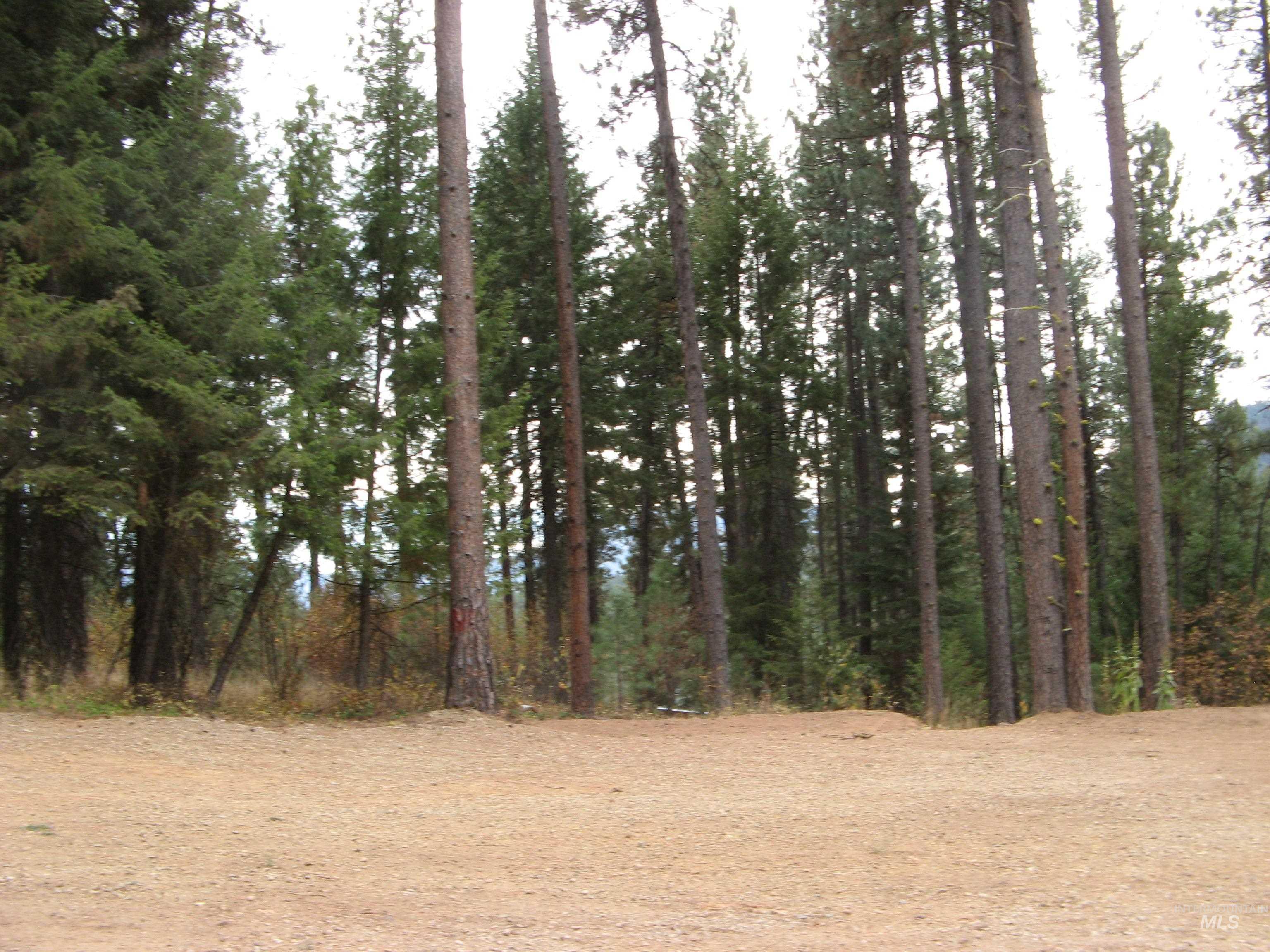 Lot 4 Rita Lane Property Photo 4