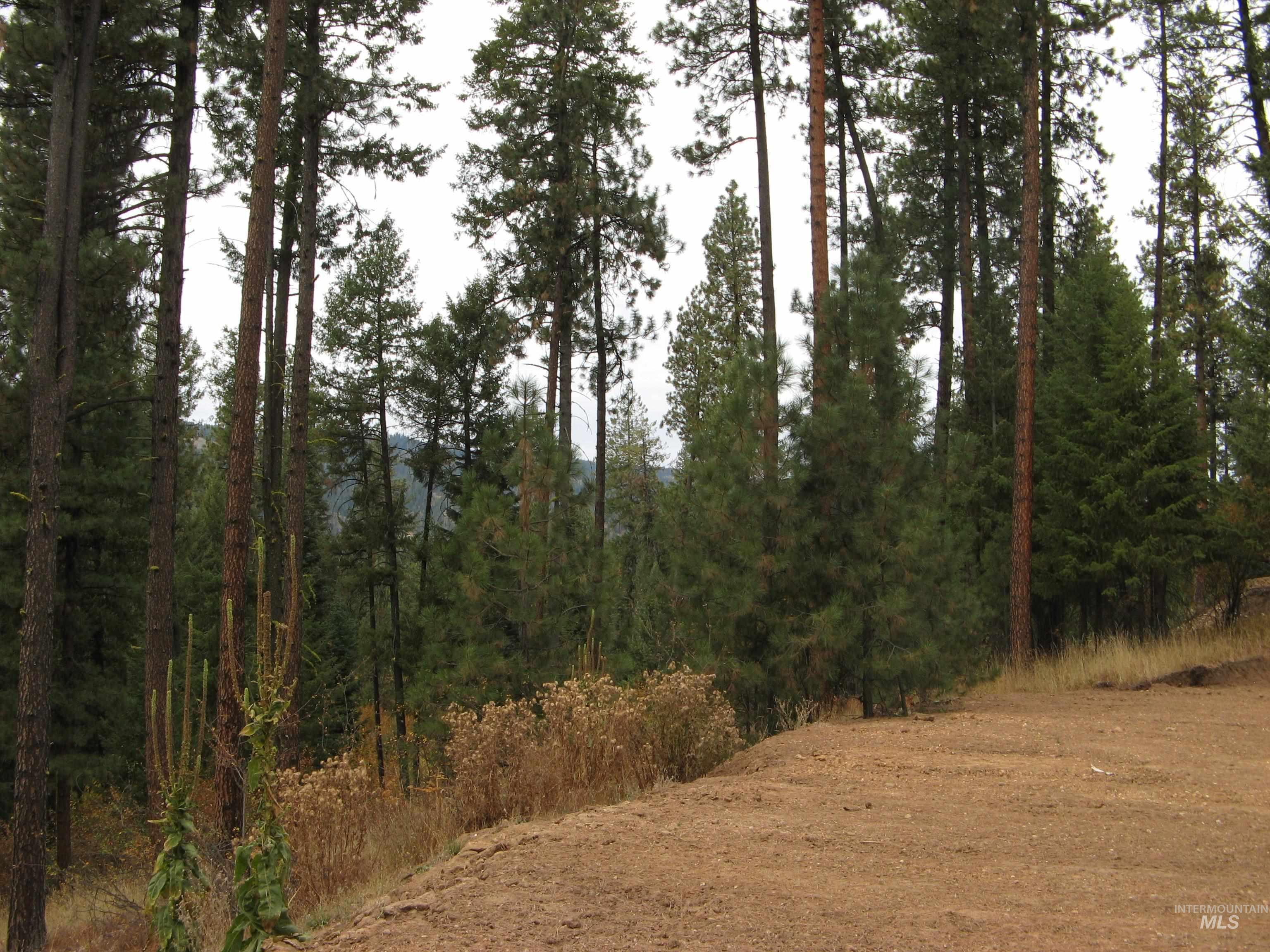 Lot 4 Rita Lane Property Photo 7