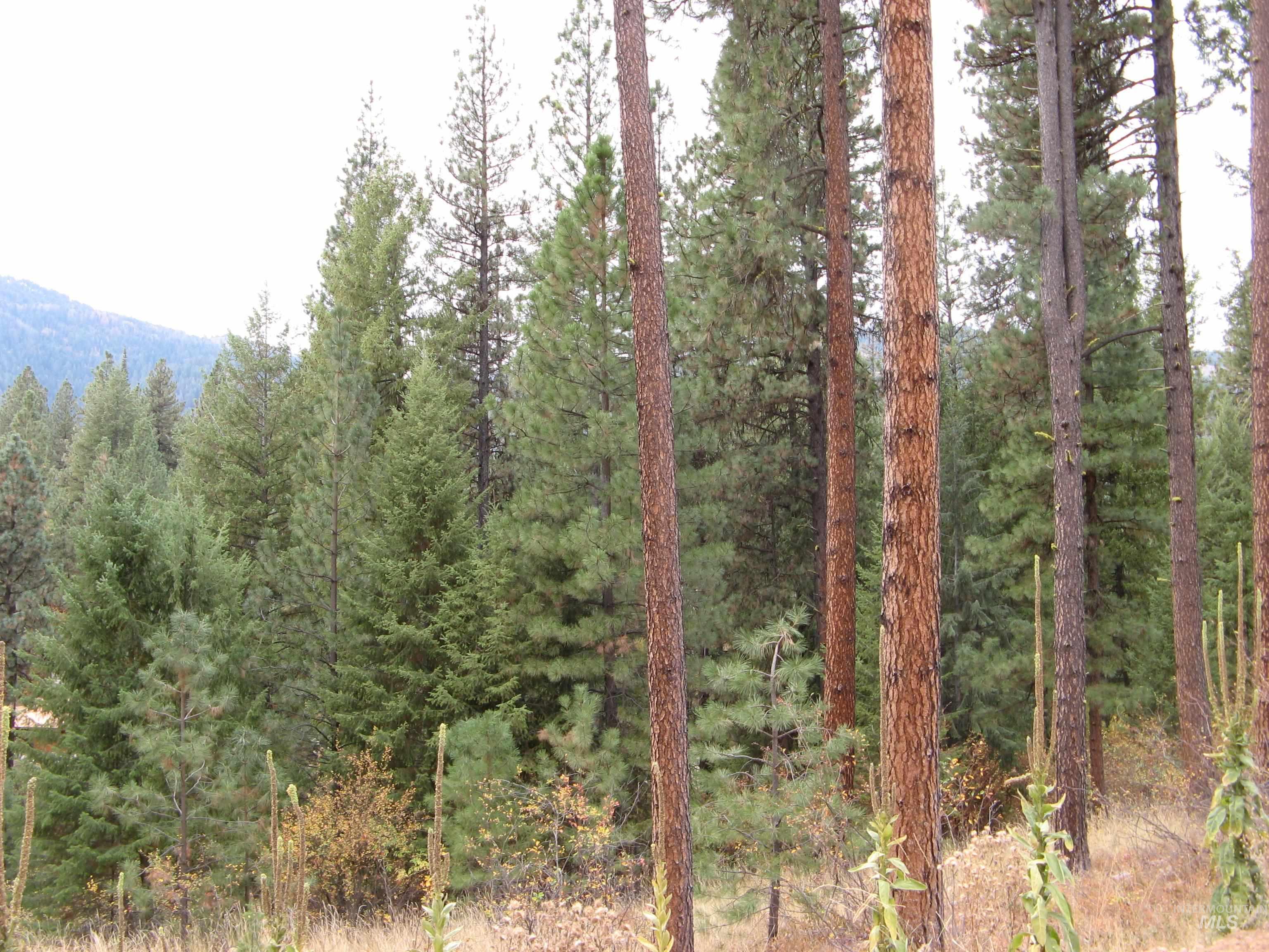 Lot 4 Rita Lane Property Photo 8