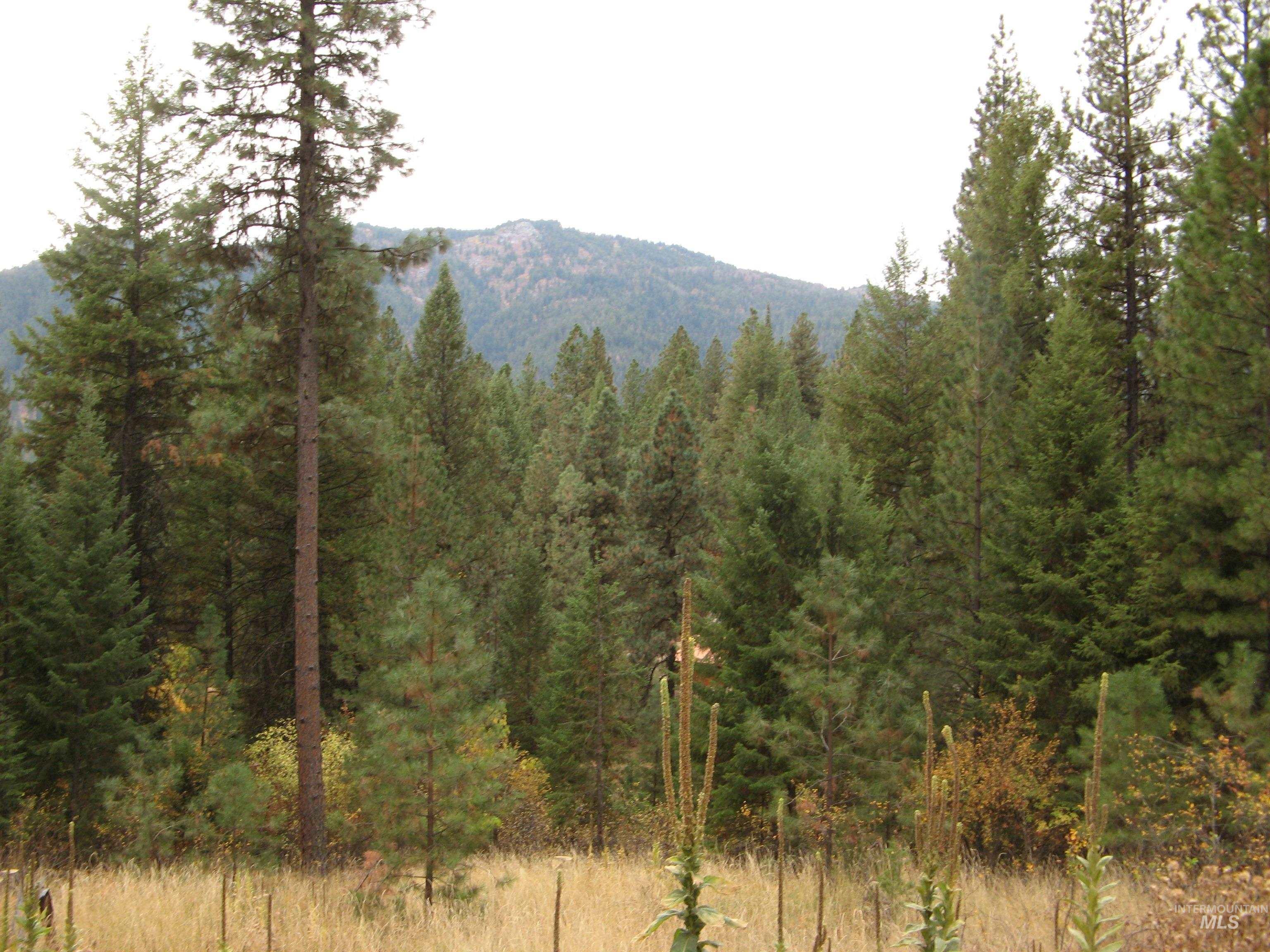 Lot 4 Rita Lane Property Photo 9