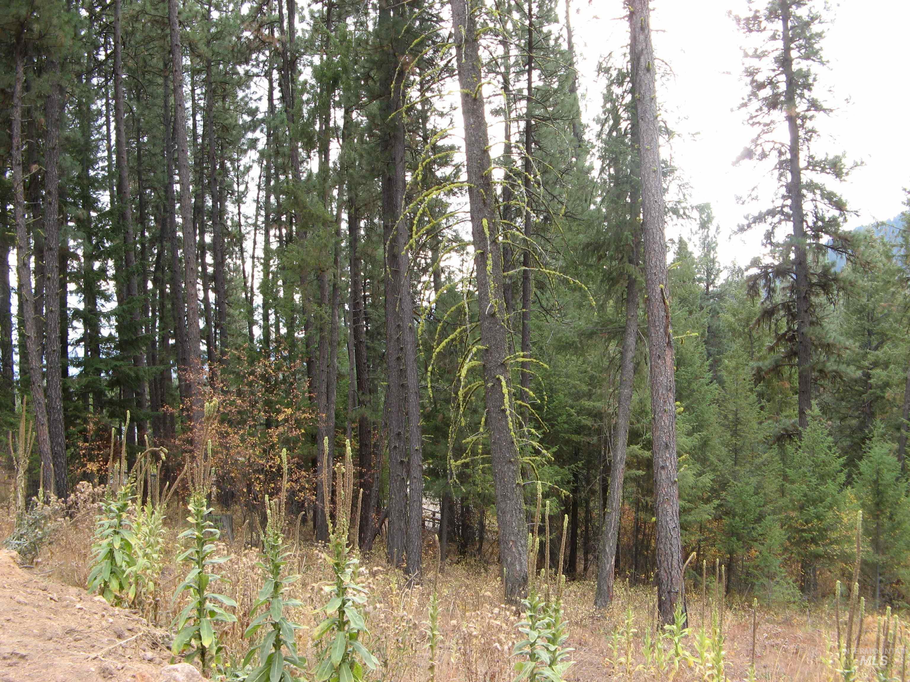 Lot 4 Rita Lane Property Photo 10