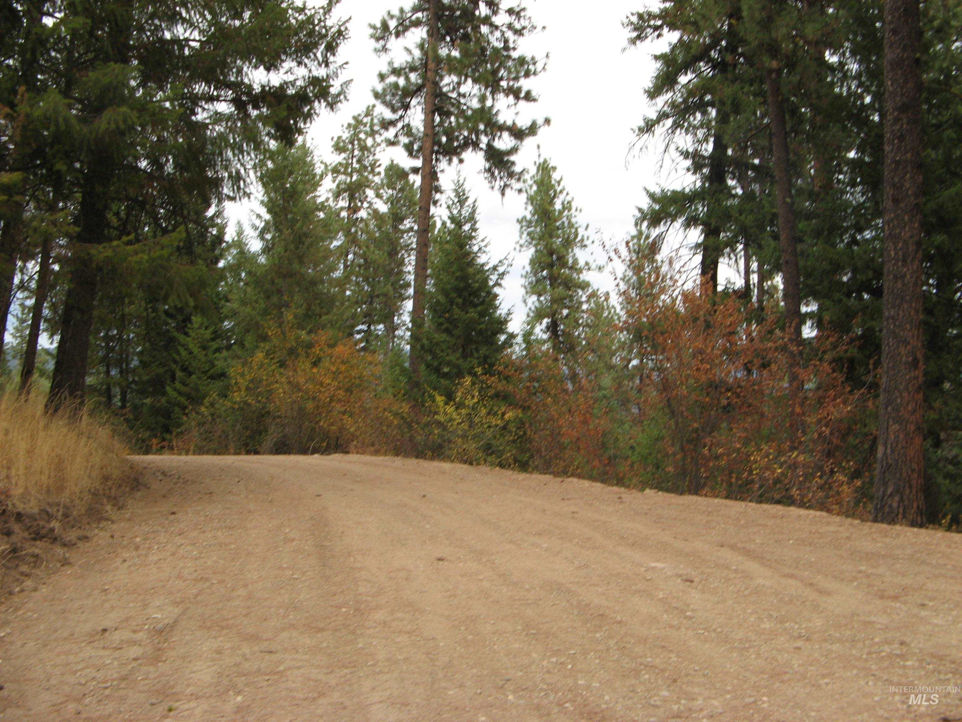 Lot 4 Rita Lane Property Photo 18