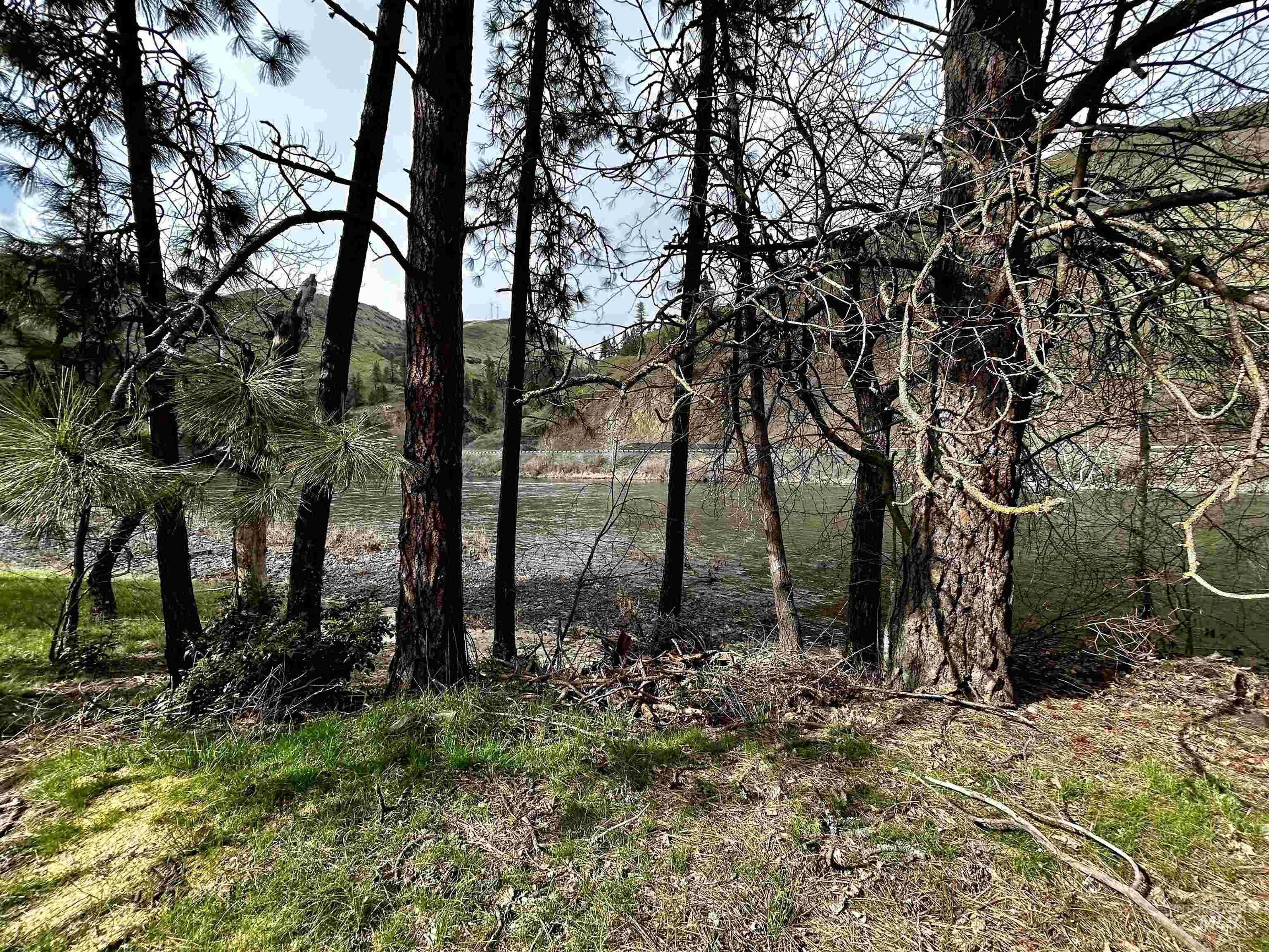 Tbd Mill St Property Photo 1
