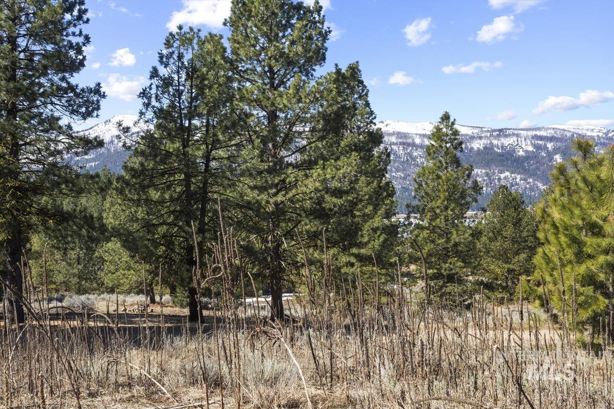 328 Lone Pine Drive Property Photo 4