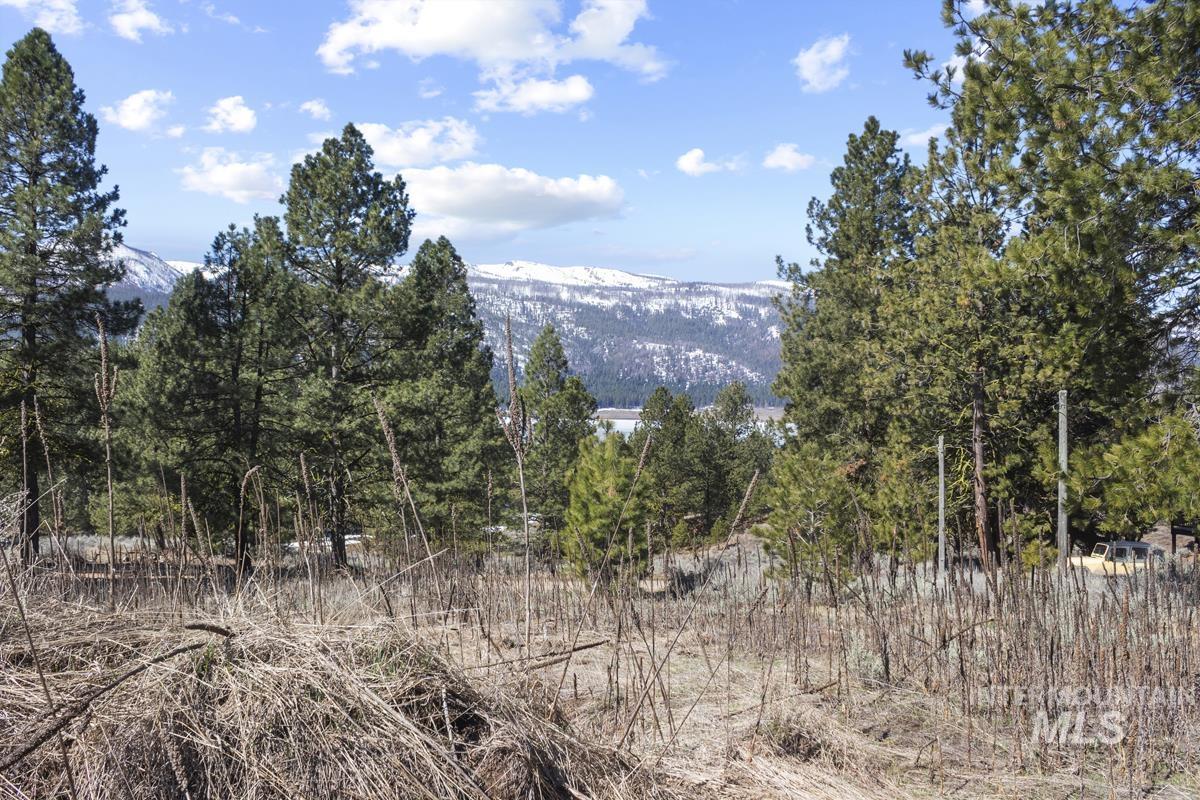 328 Lone Pine Drive Property Photo 5