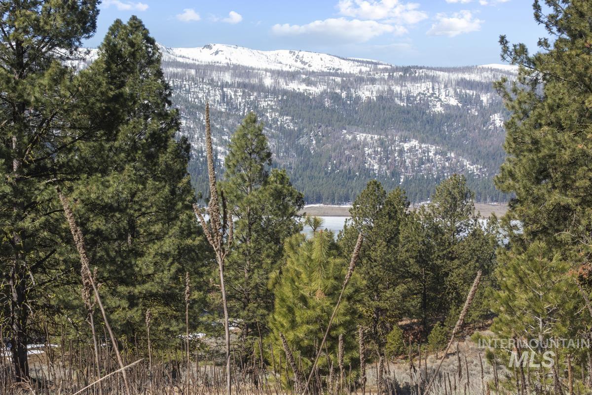 328 Lone Pine Drive Property Photo 6