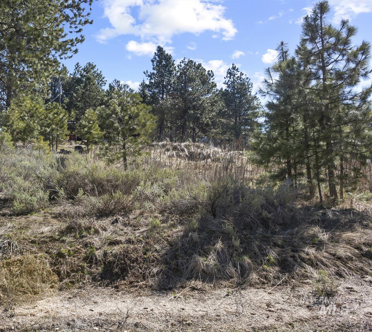 328 Lone Pine Drive Property Photo 7