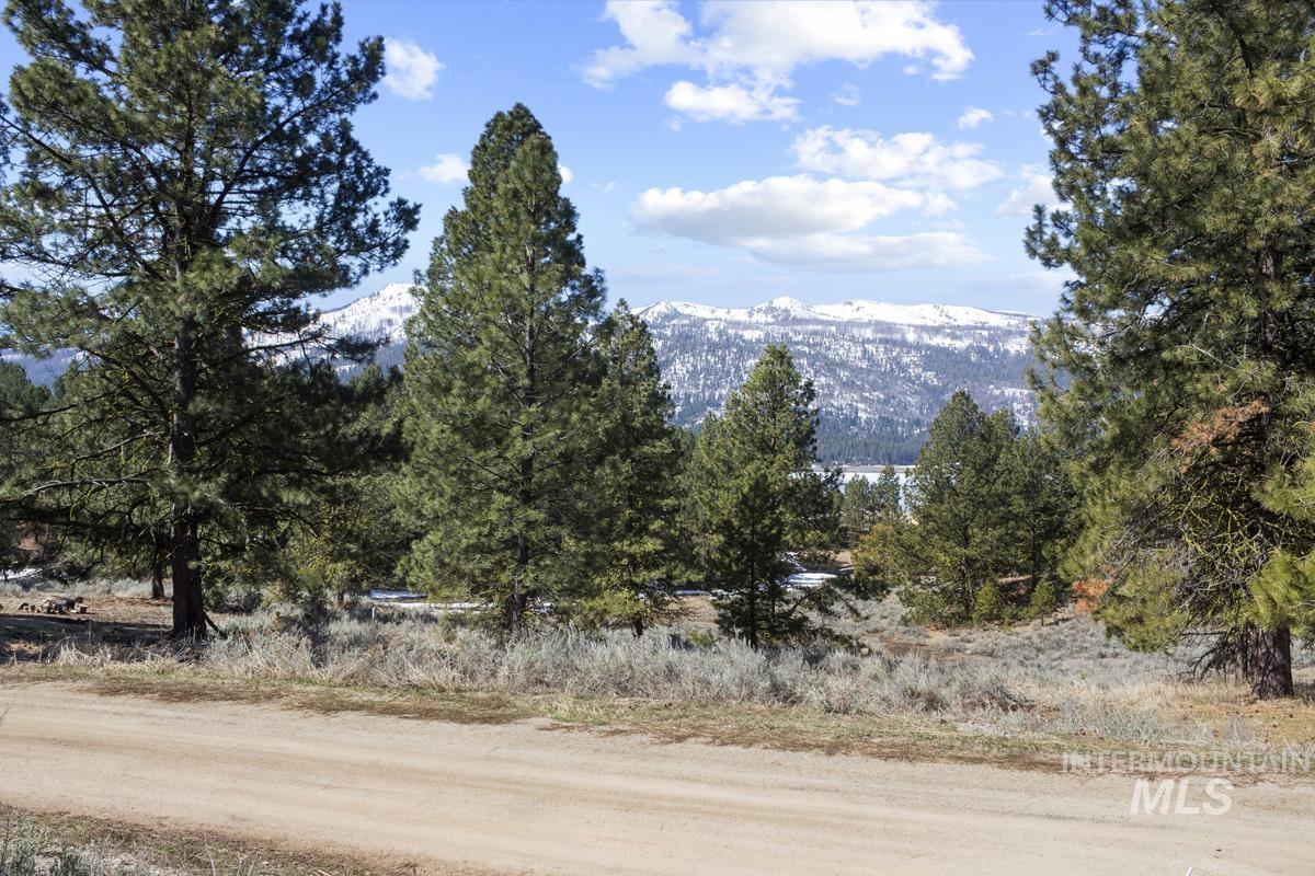 328 Lone Pine Drive Property Photo 8