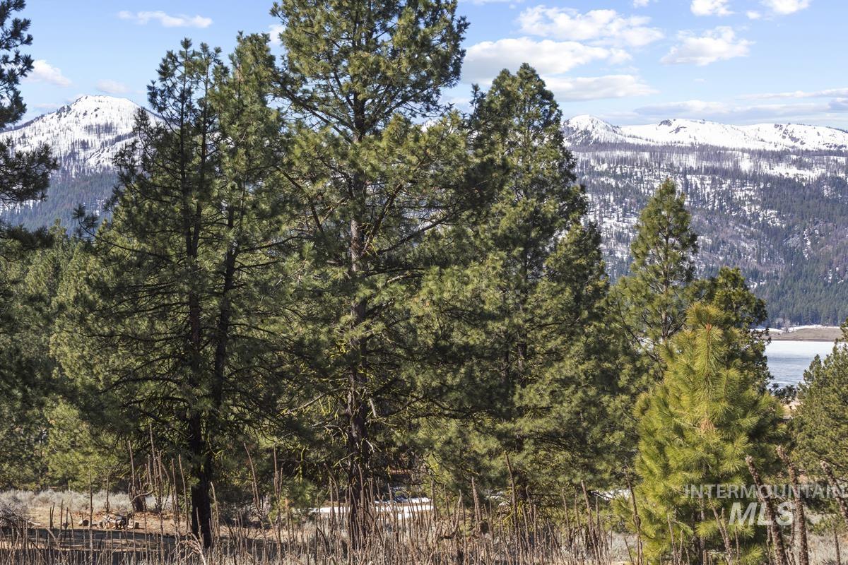 328 Lone Pine Drive Property Photo 9