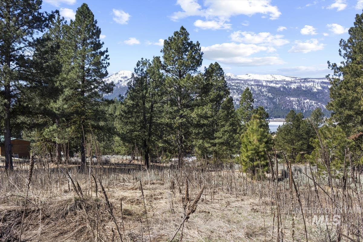 328 Lone Pine Drive Property Photo 10