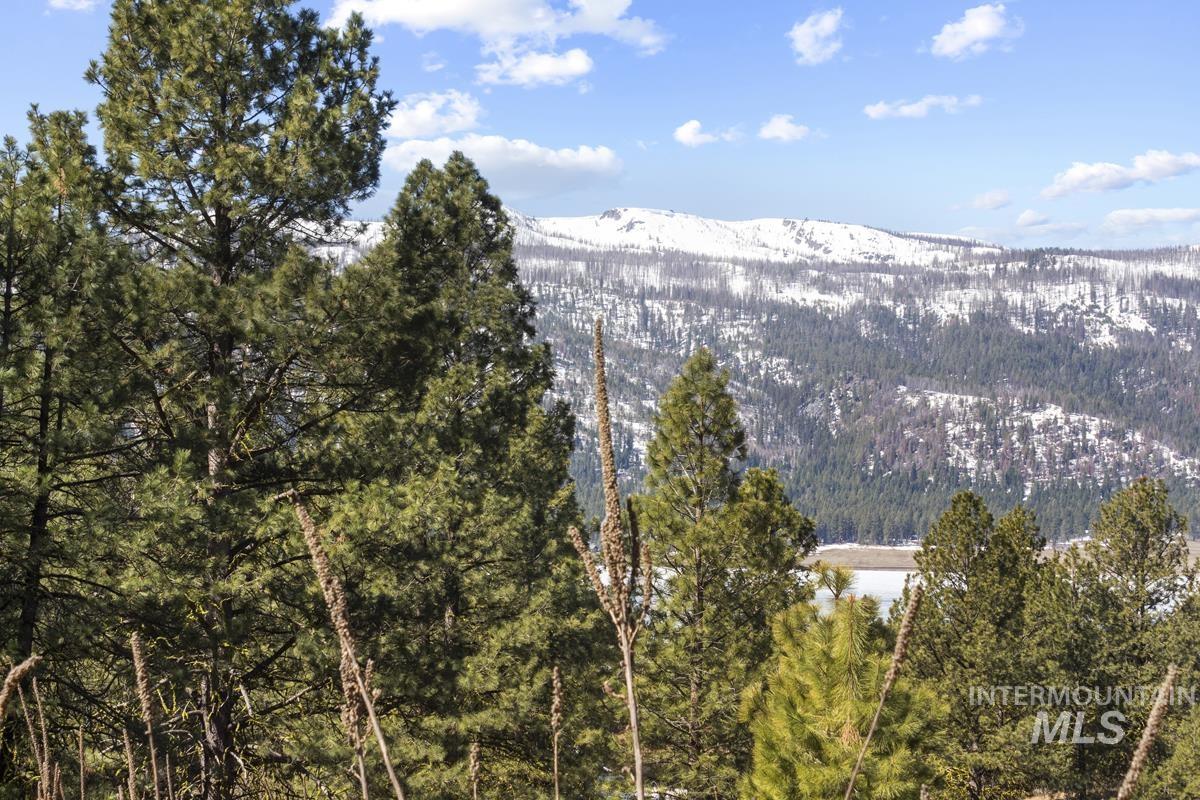 328 Lone Pine Drive Property Photo 11