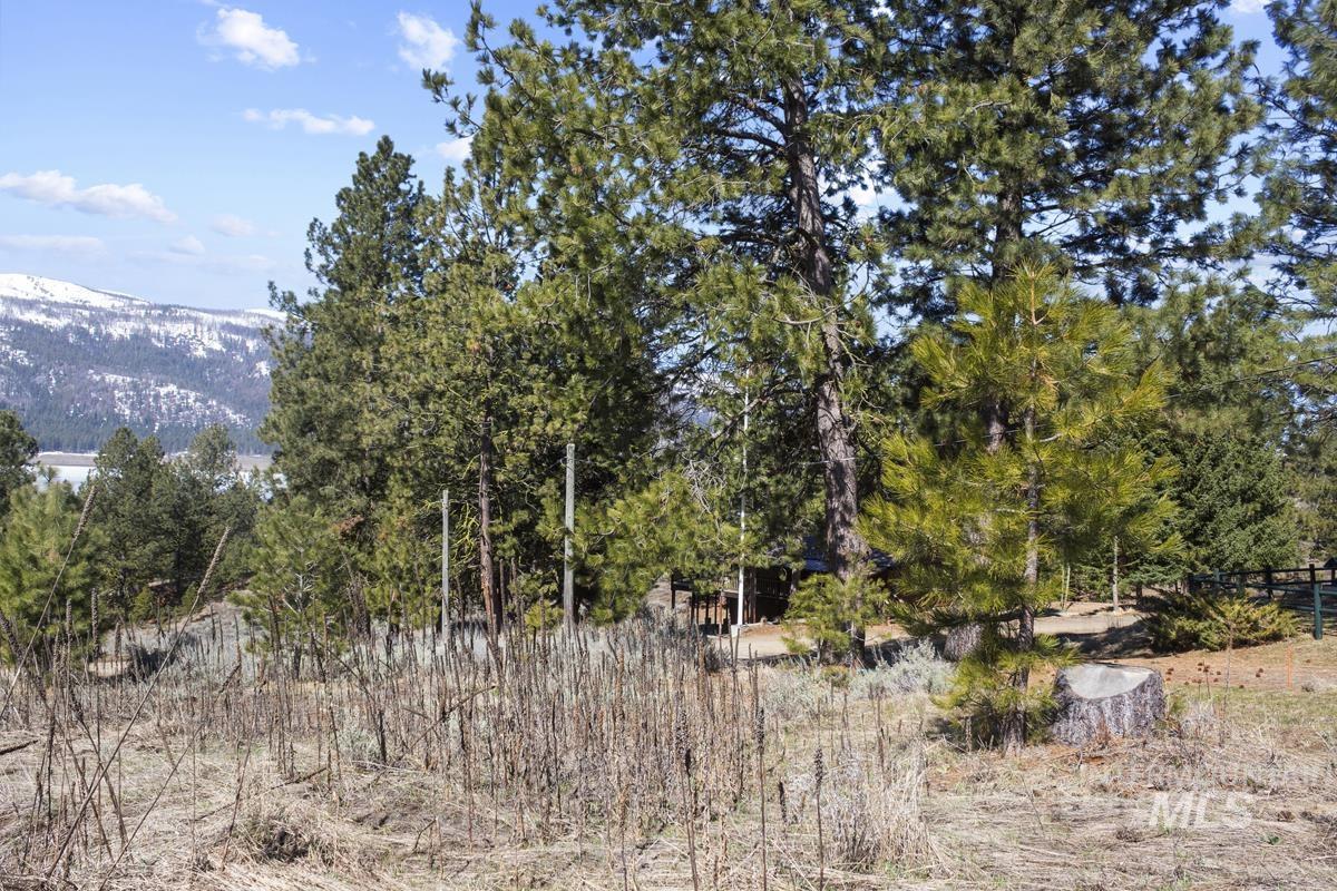 328 Lone Pine Drive Property Photo 12