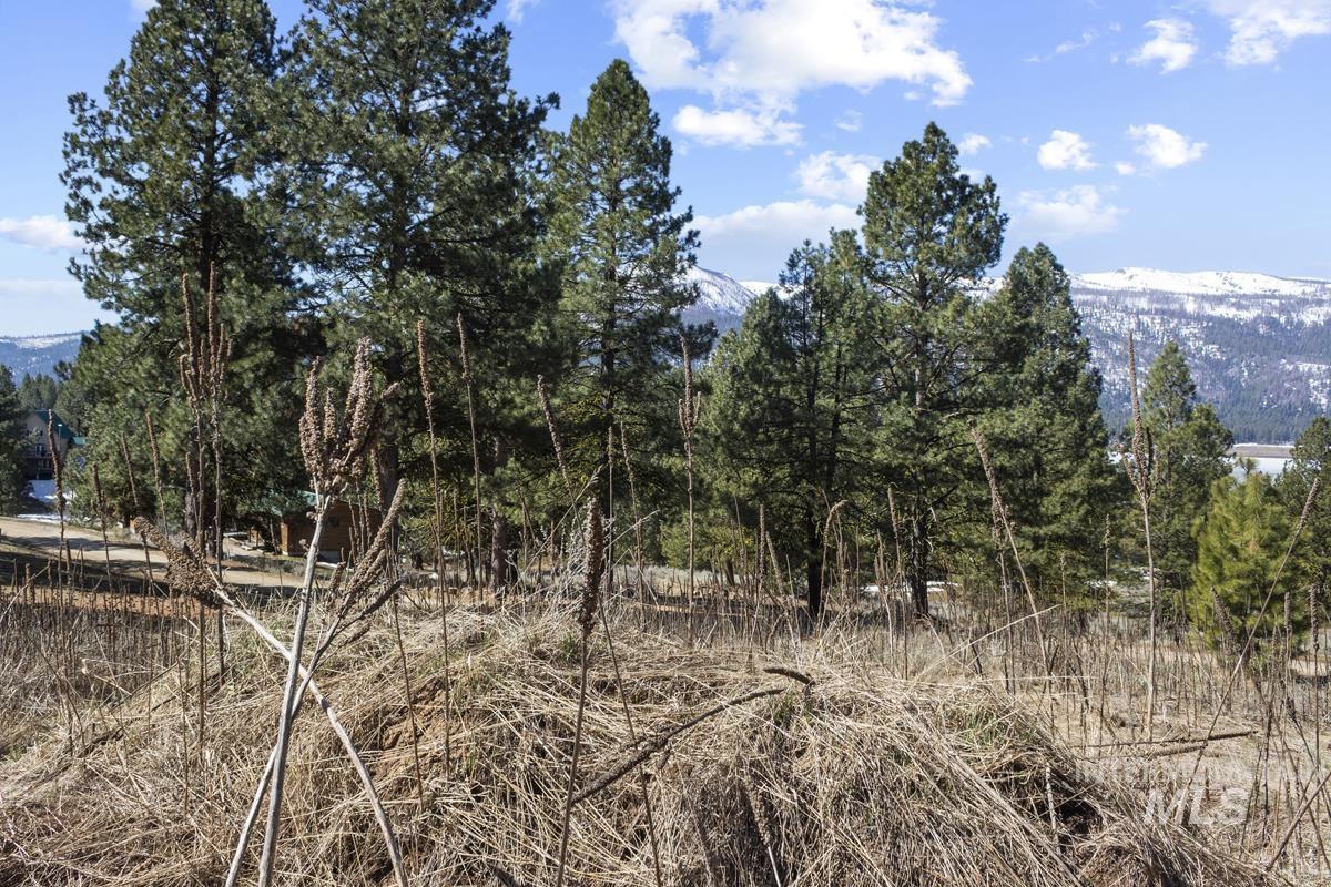 328 Lone Pine Drive Property Photo 13