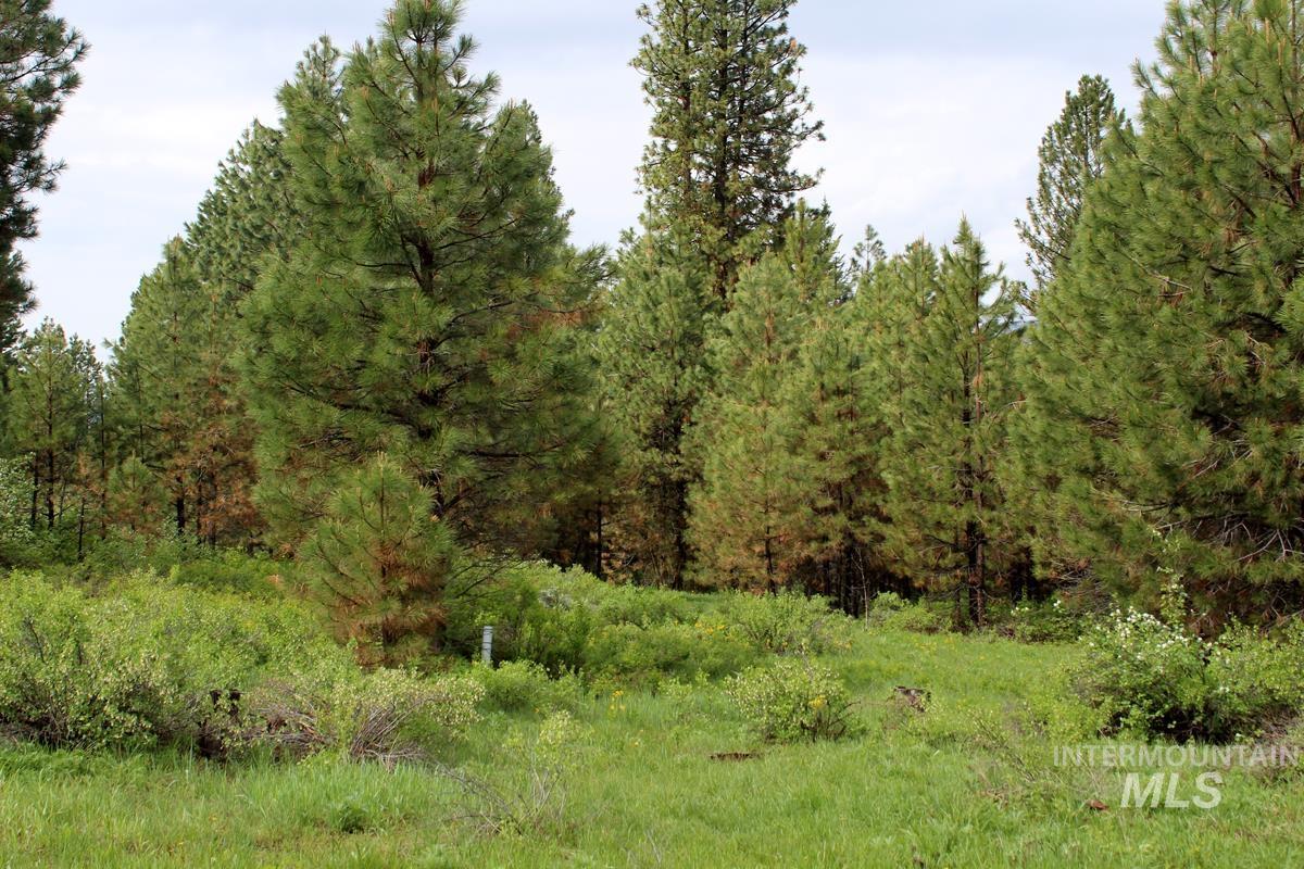 Whispering Pines Cascade Real Estate Listings Main Image