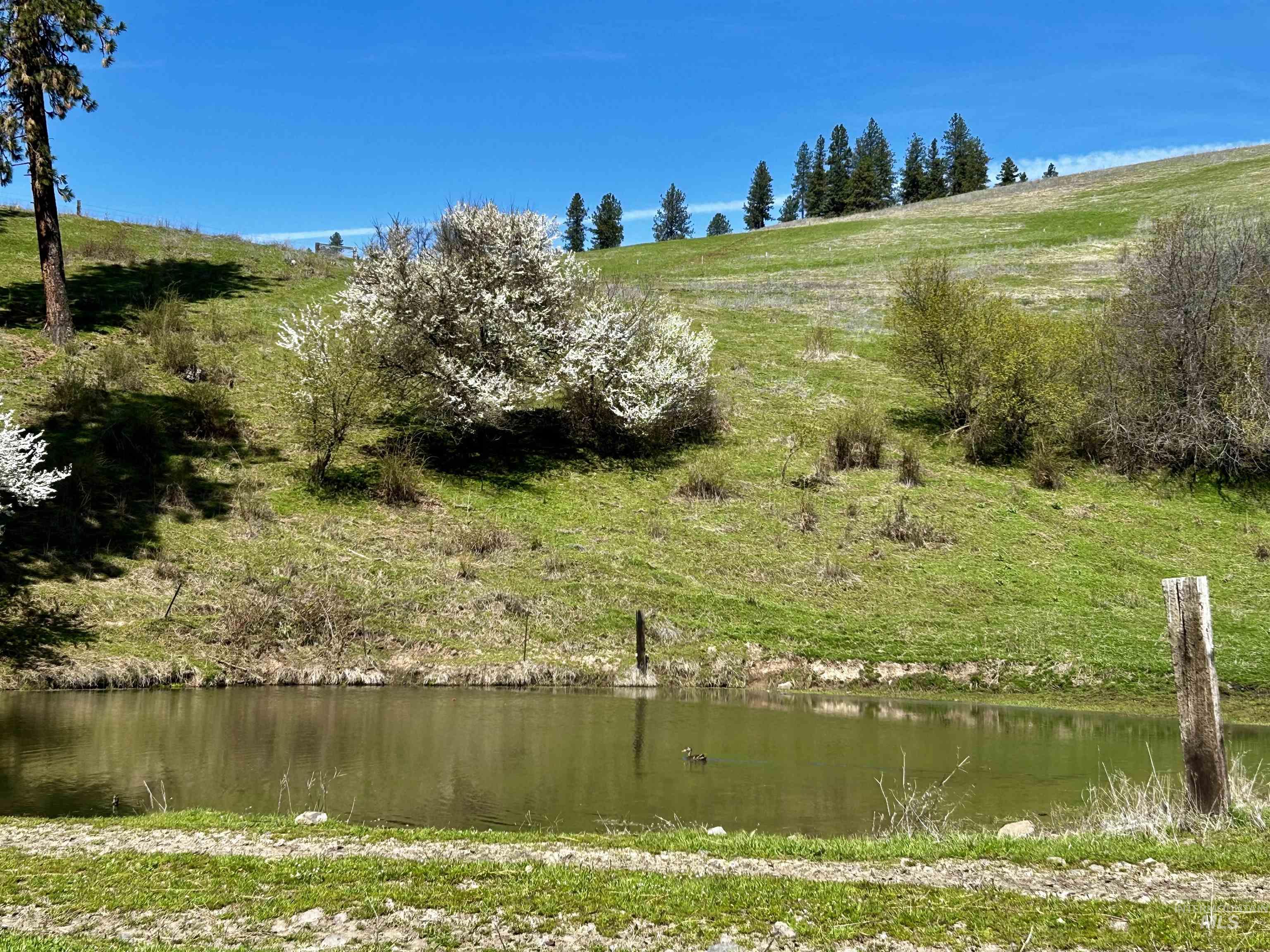 Tbd Upper Fords Creek Property Photo