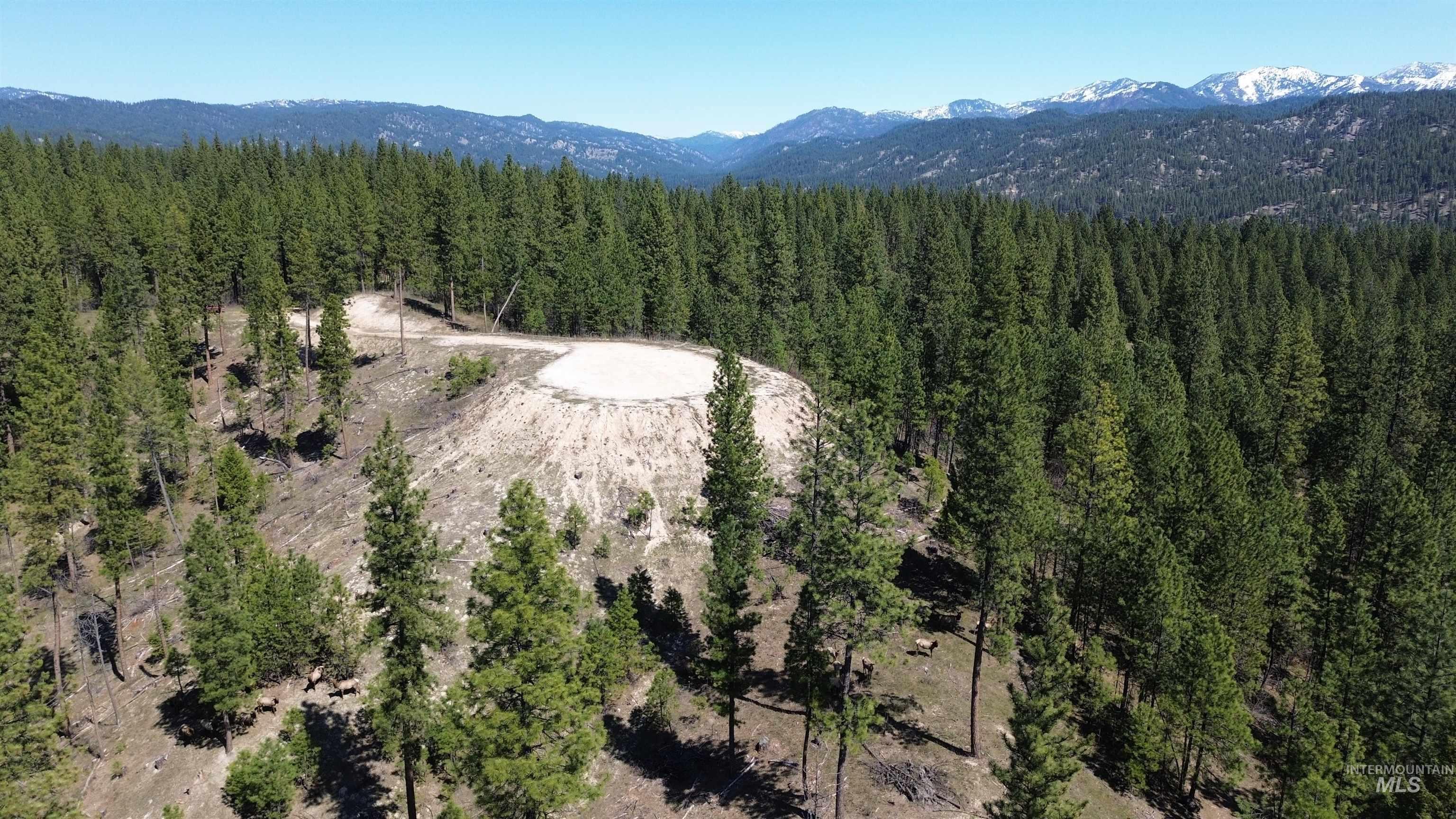 Talon Road Property Photo
