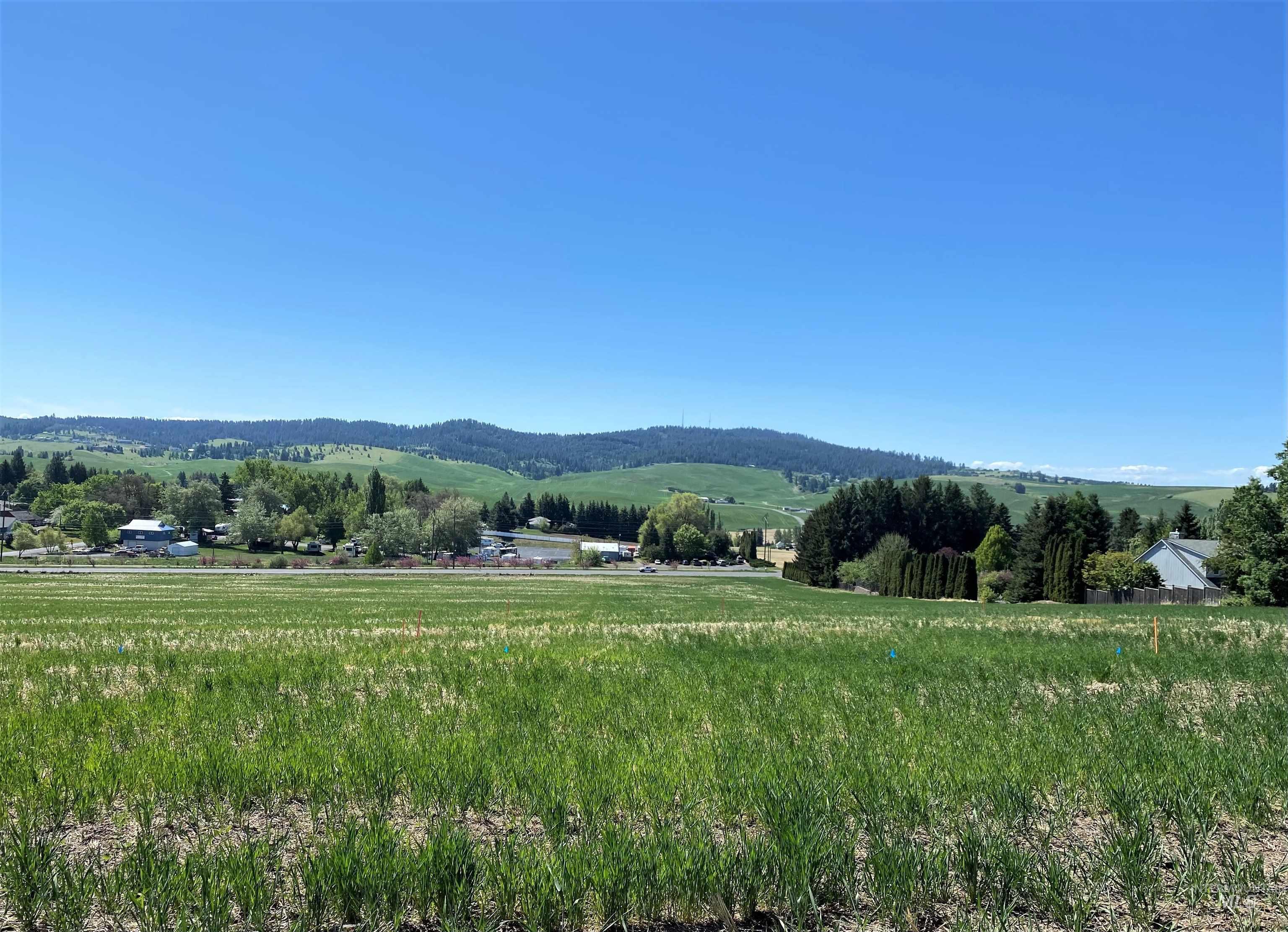 2906 Wildrose Property Photo