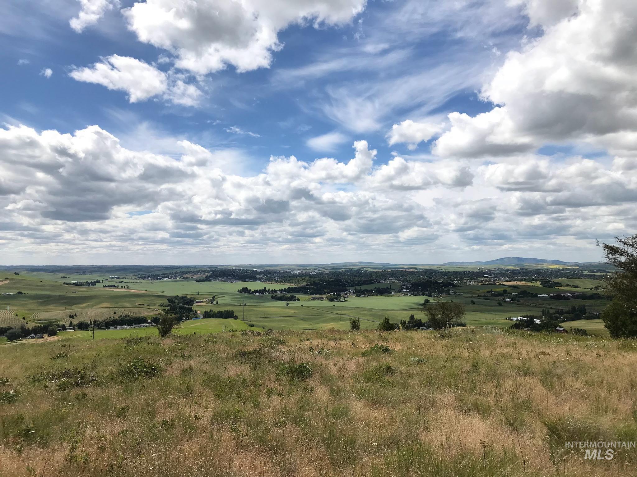 Tbd Lenville Road Property Photo 2