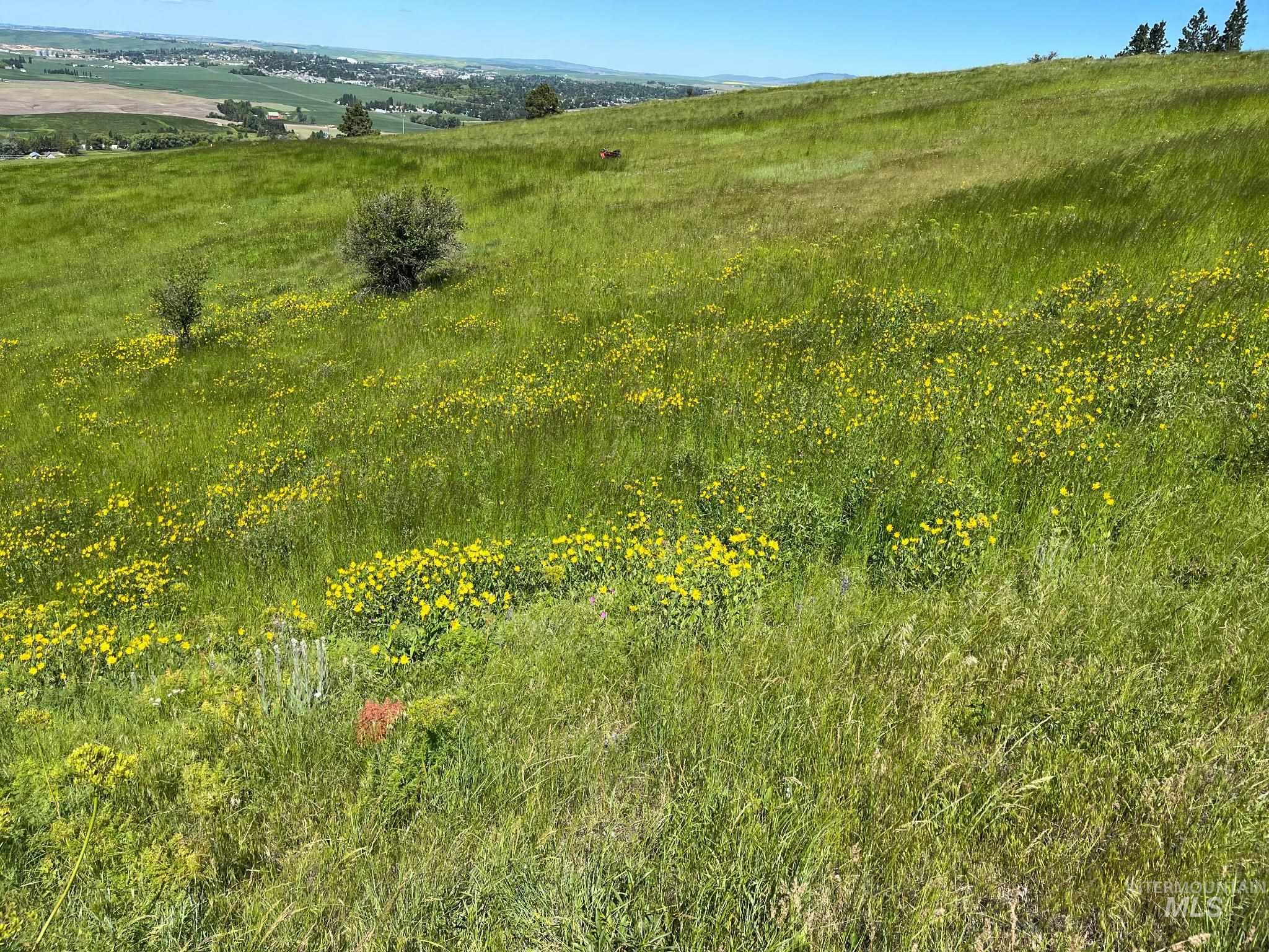 Tbd Lenville Road Property Photo 4