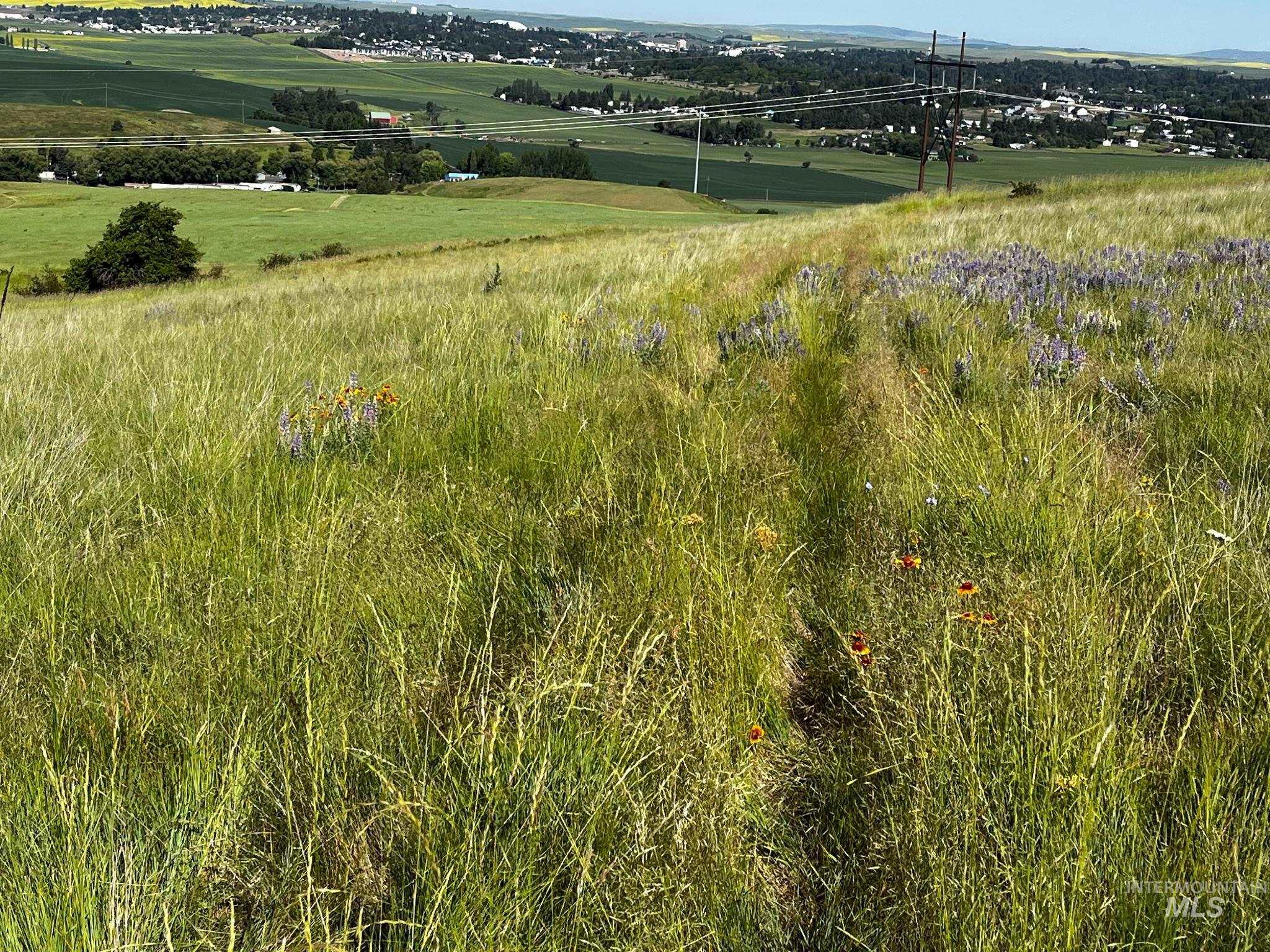 Tbd Lenville Road Property Photo 8