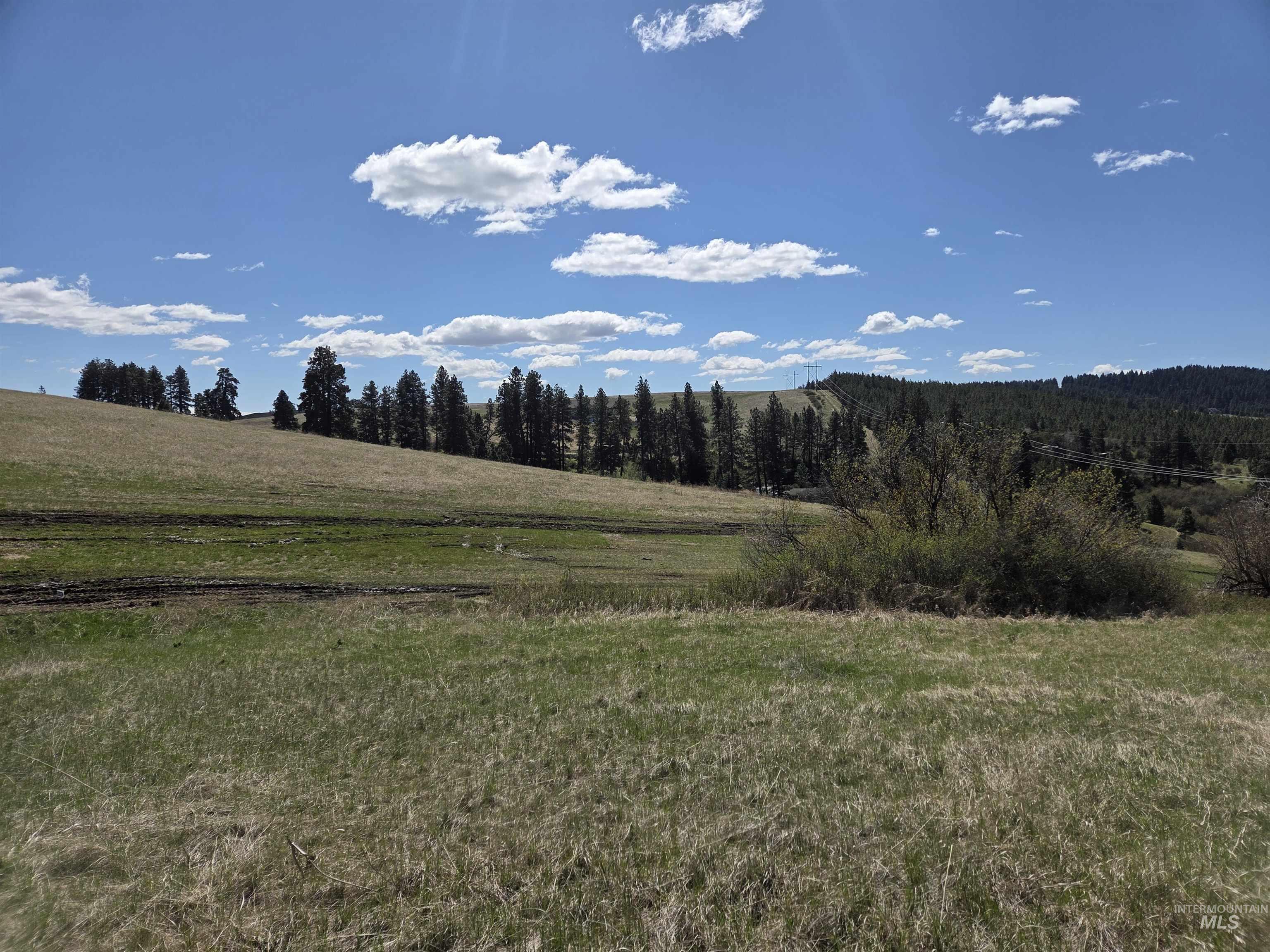 Tbd Lenville Road Property Photo 10