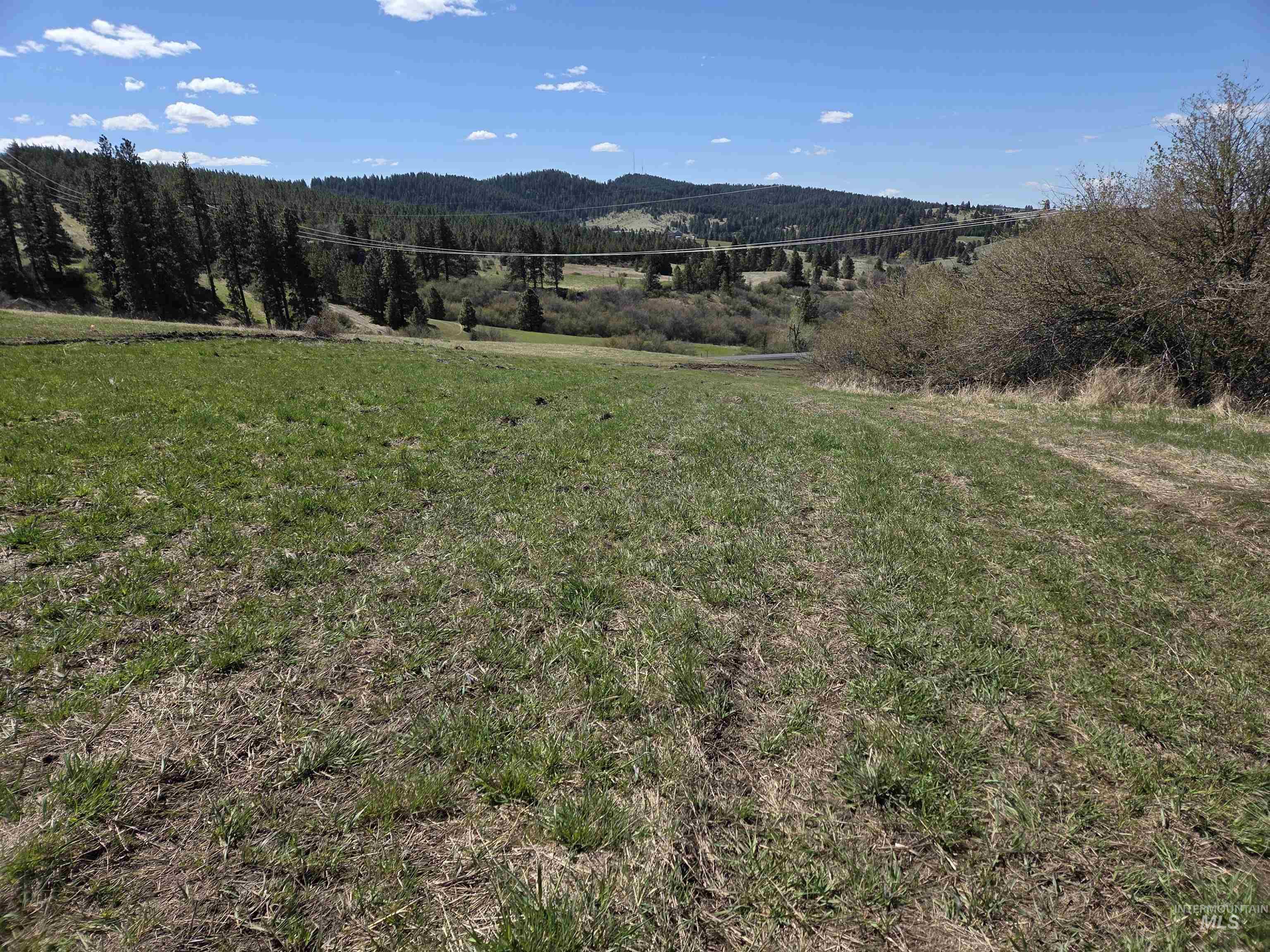 Tbd Lenville Road Property Photo 12