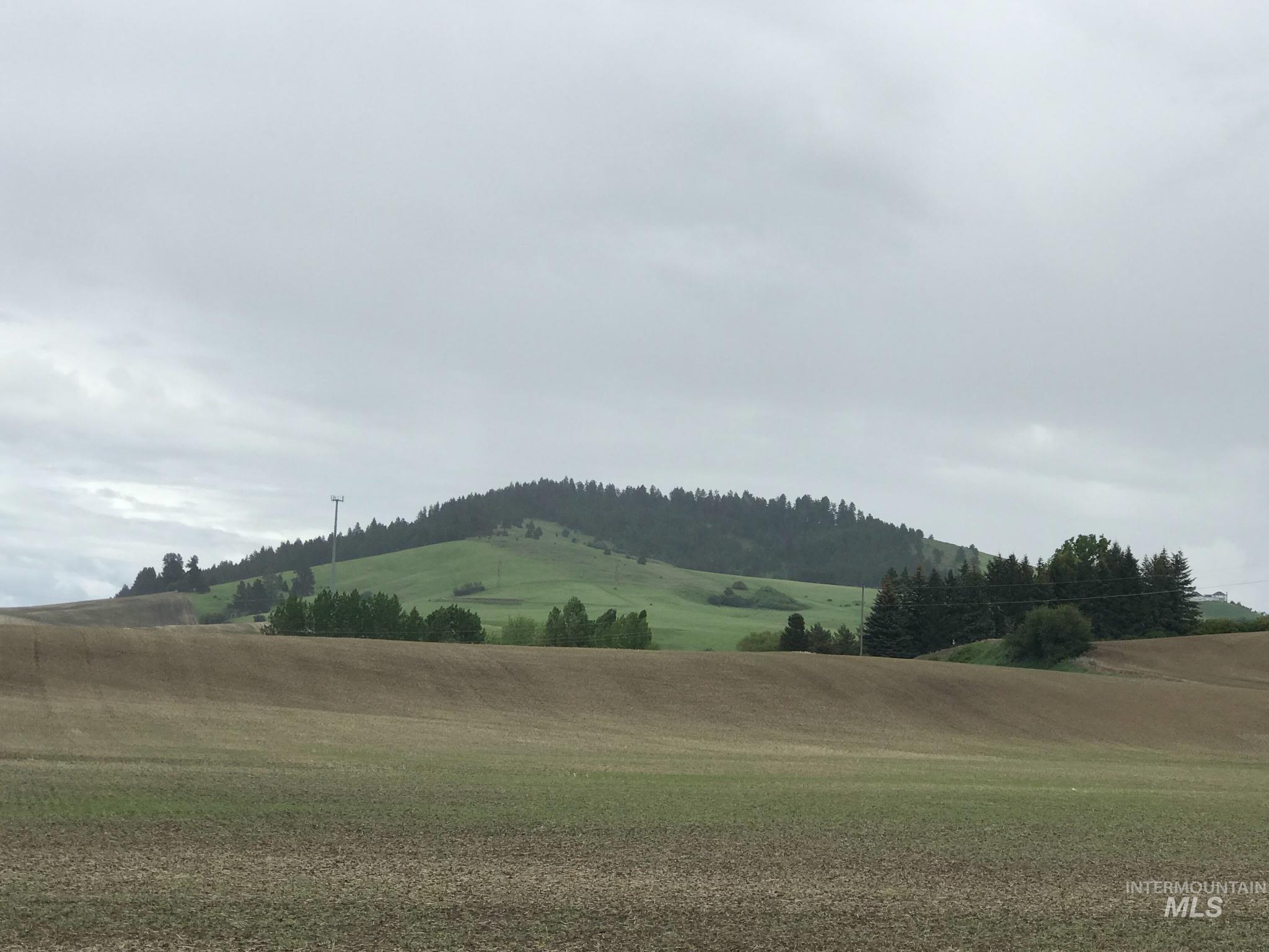 Tbd Lenville Road Property Photo 13