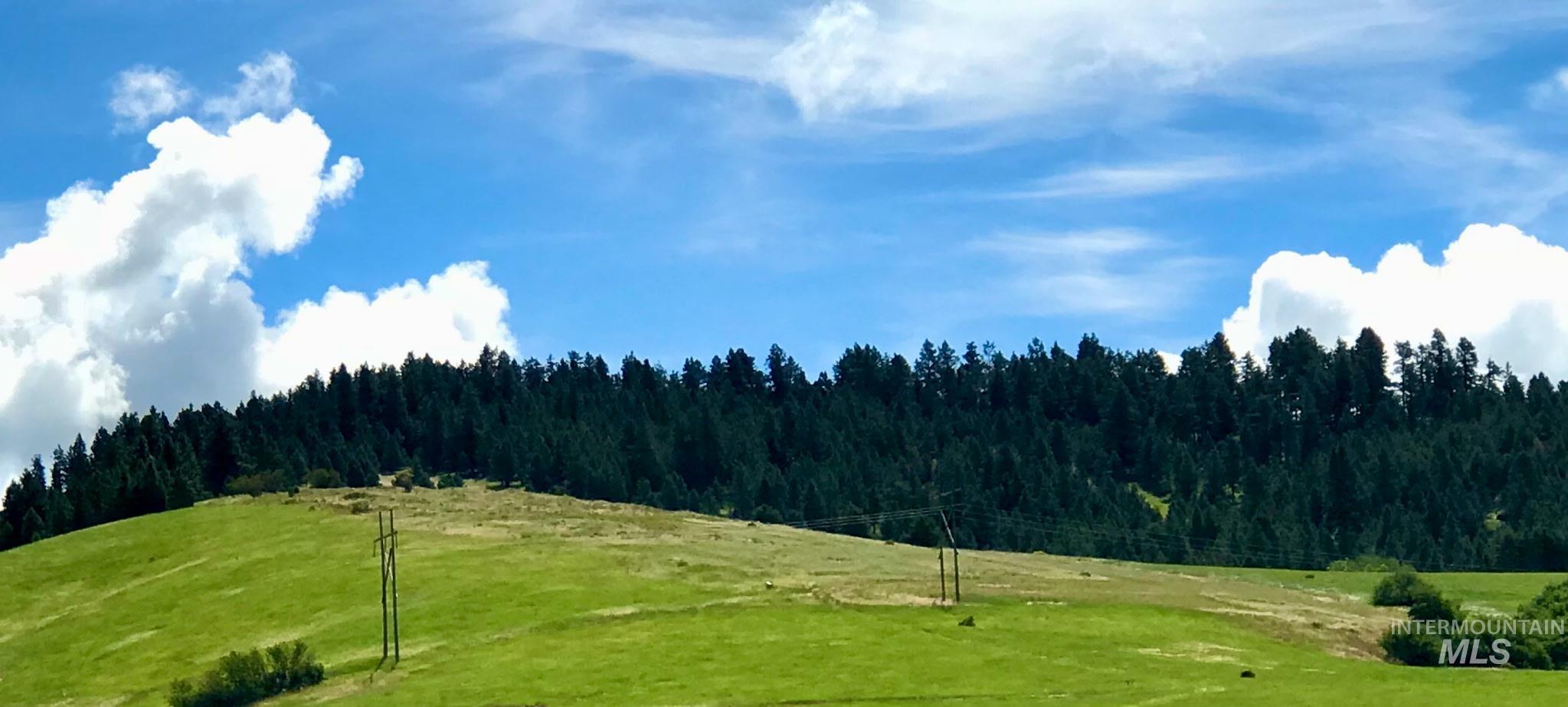 Tbd Lenville Road Property Photo 14