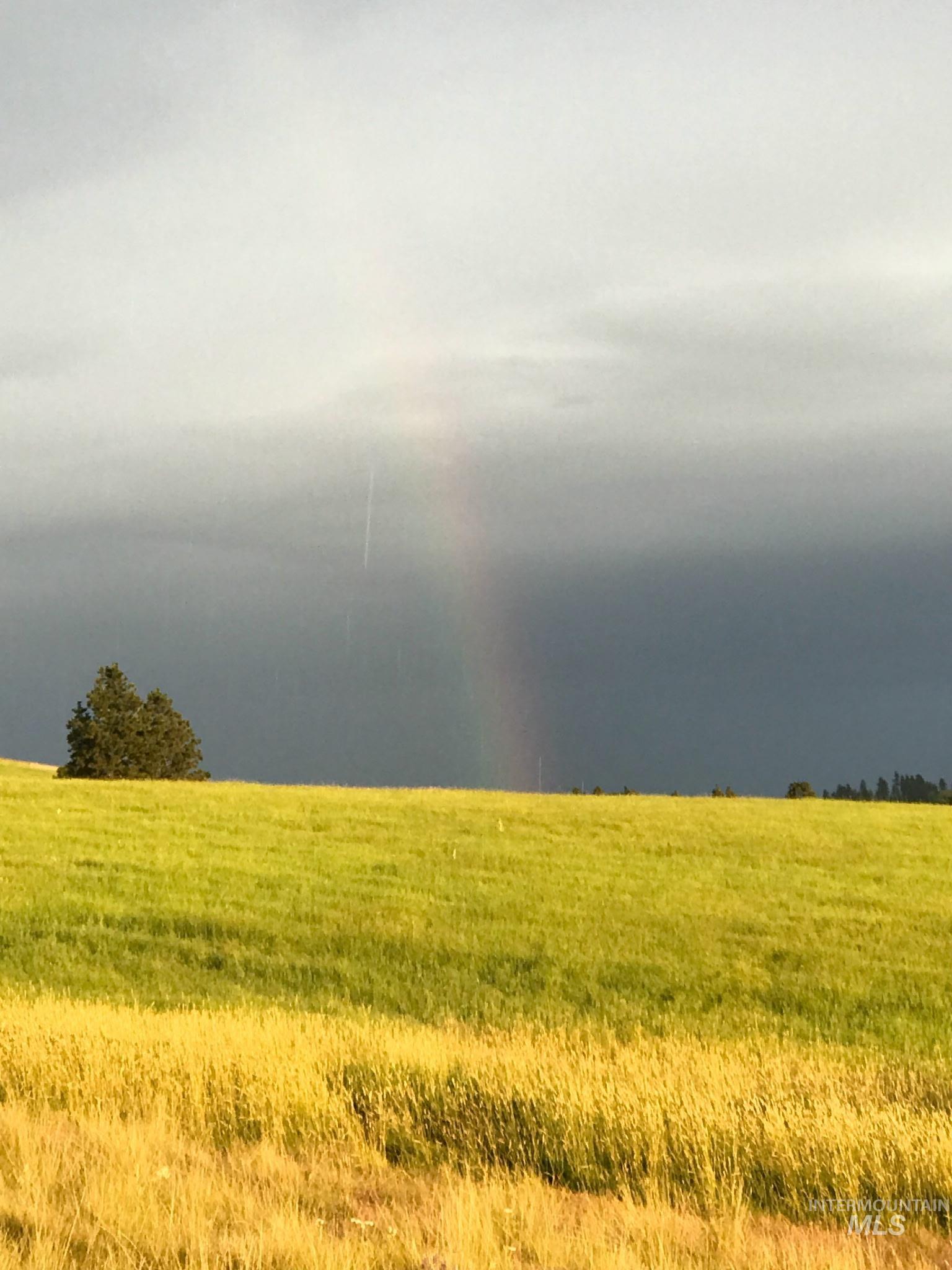 Tbd Lenville Road Property Photo 15