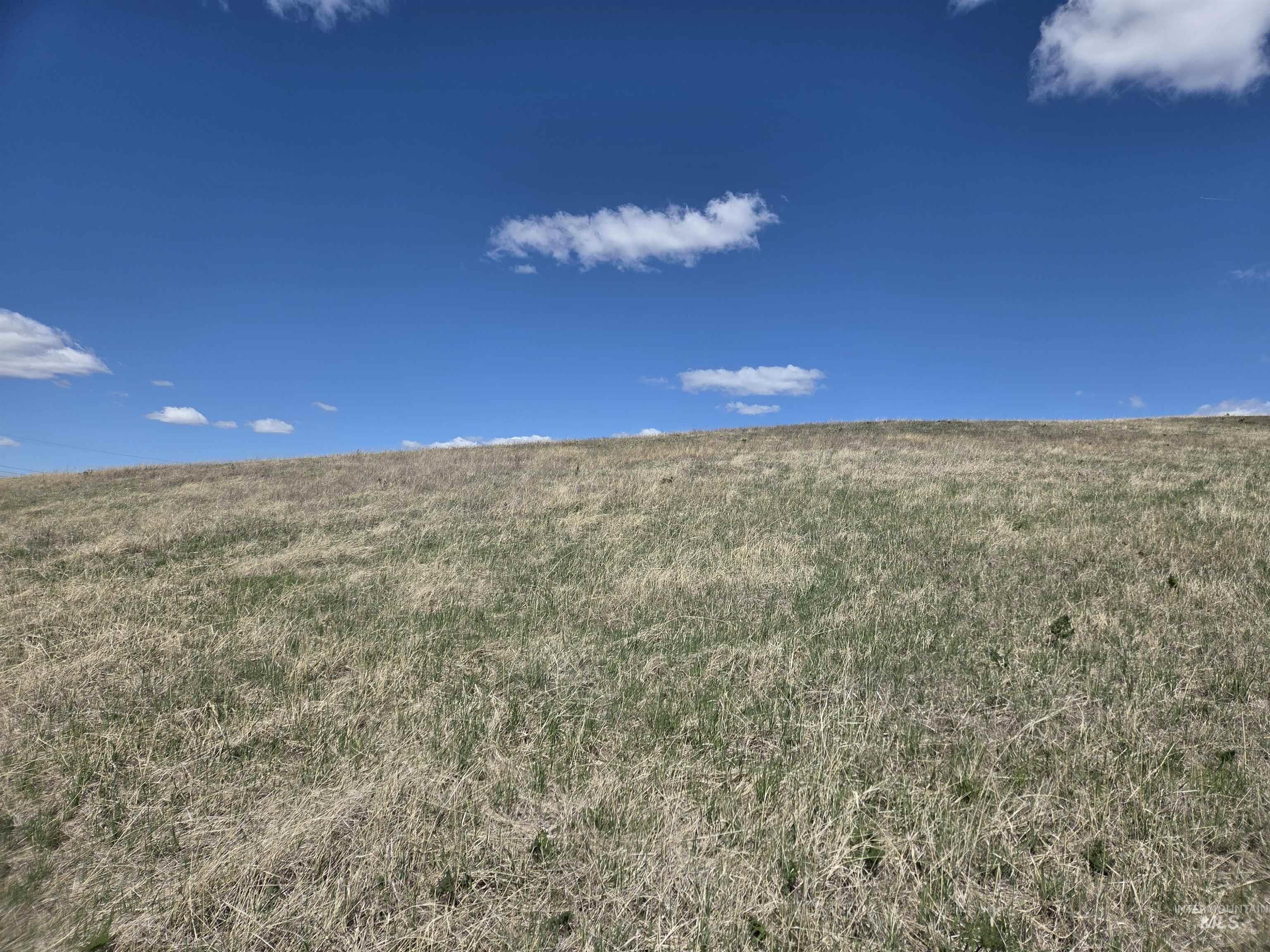 Tbd Lenville Road Property Photo 17