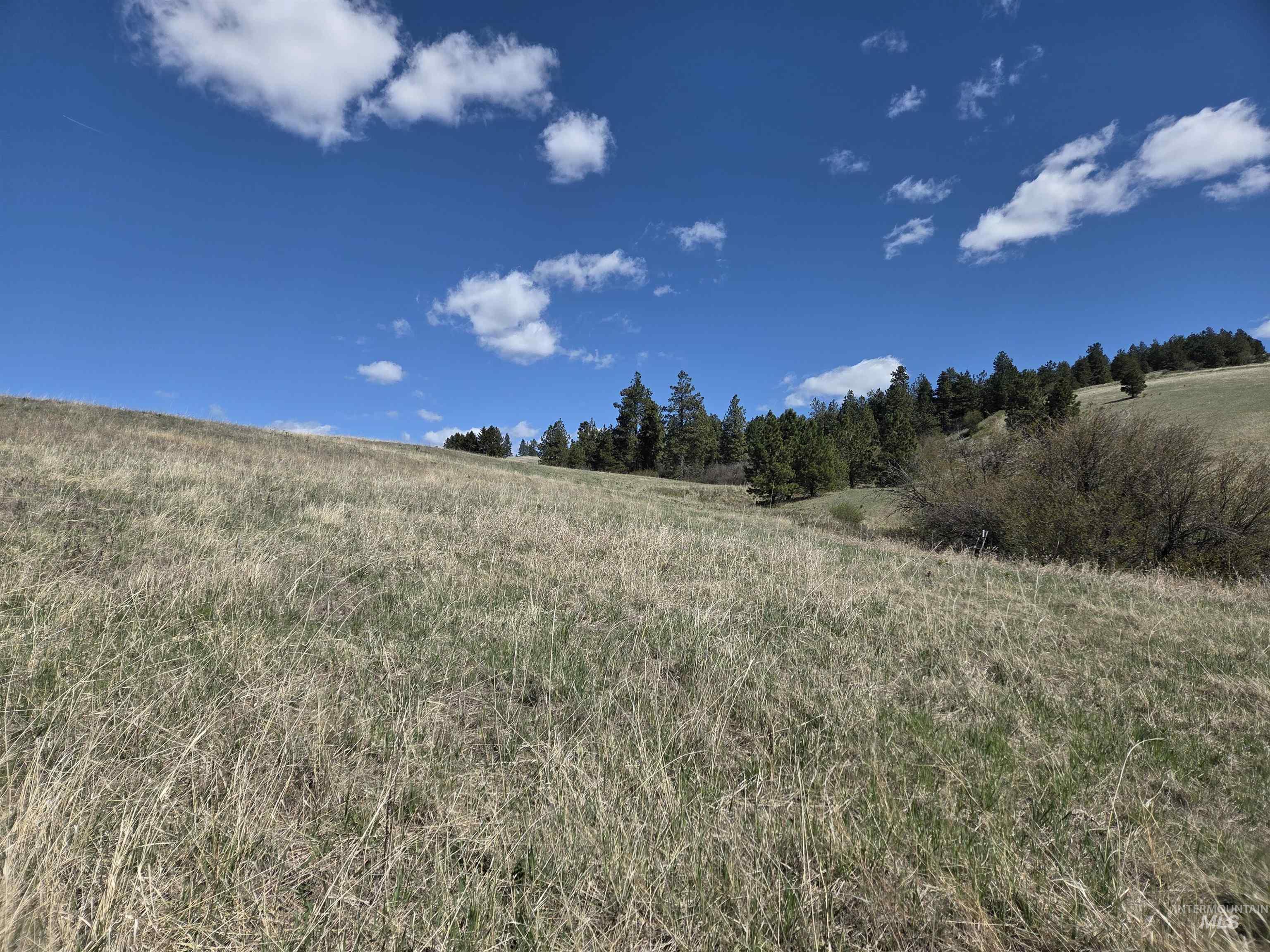 Tbd Lenville Road Property Photo 18