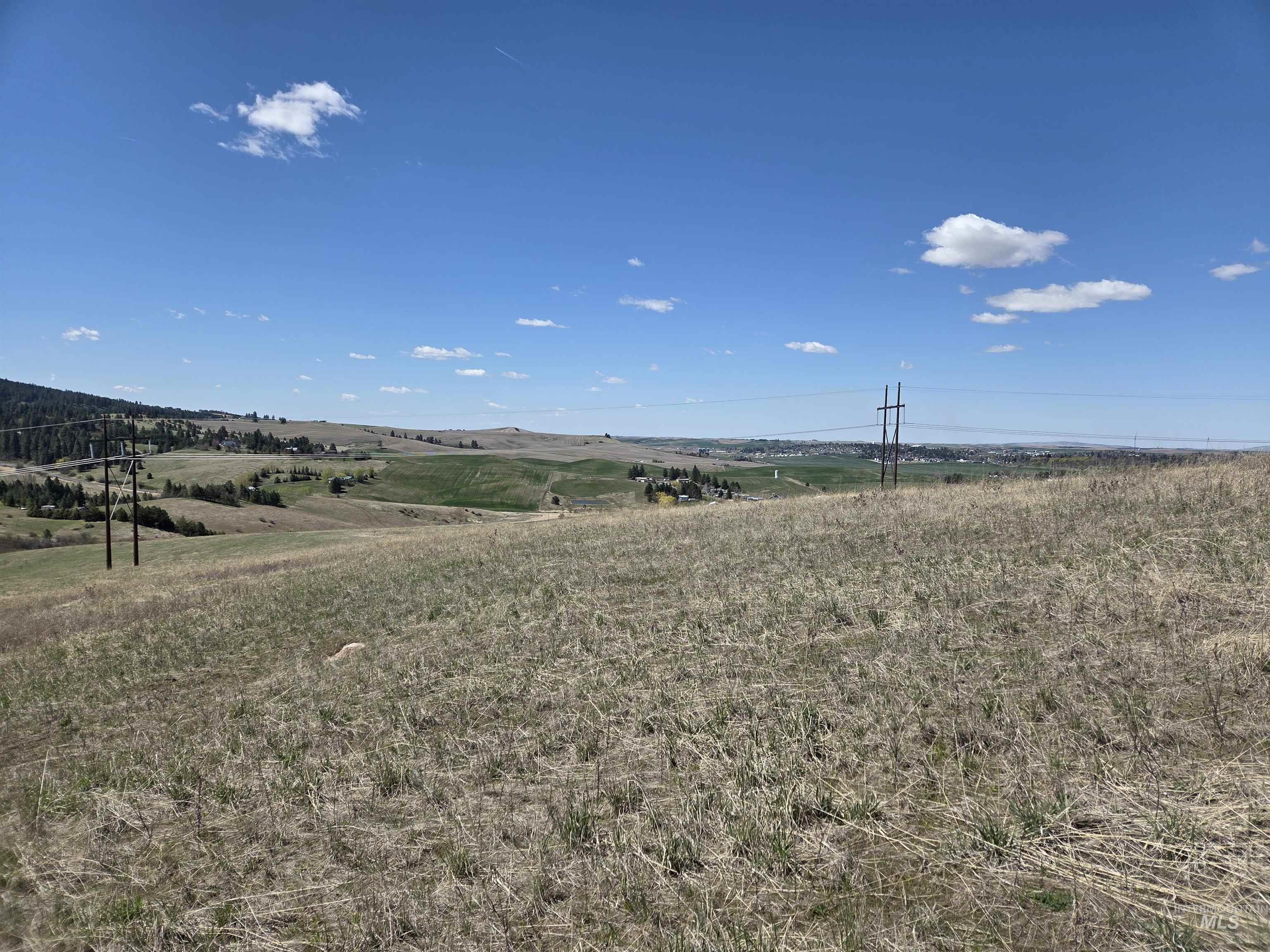 Tbd Lenville Road Property Photo 19