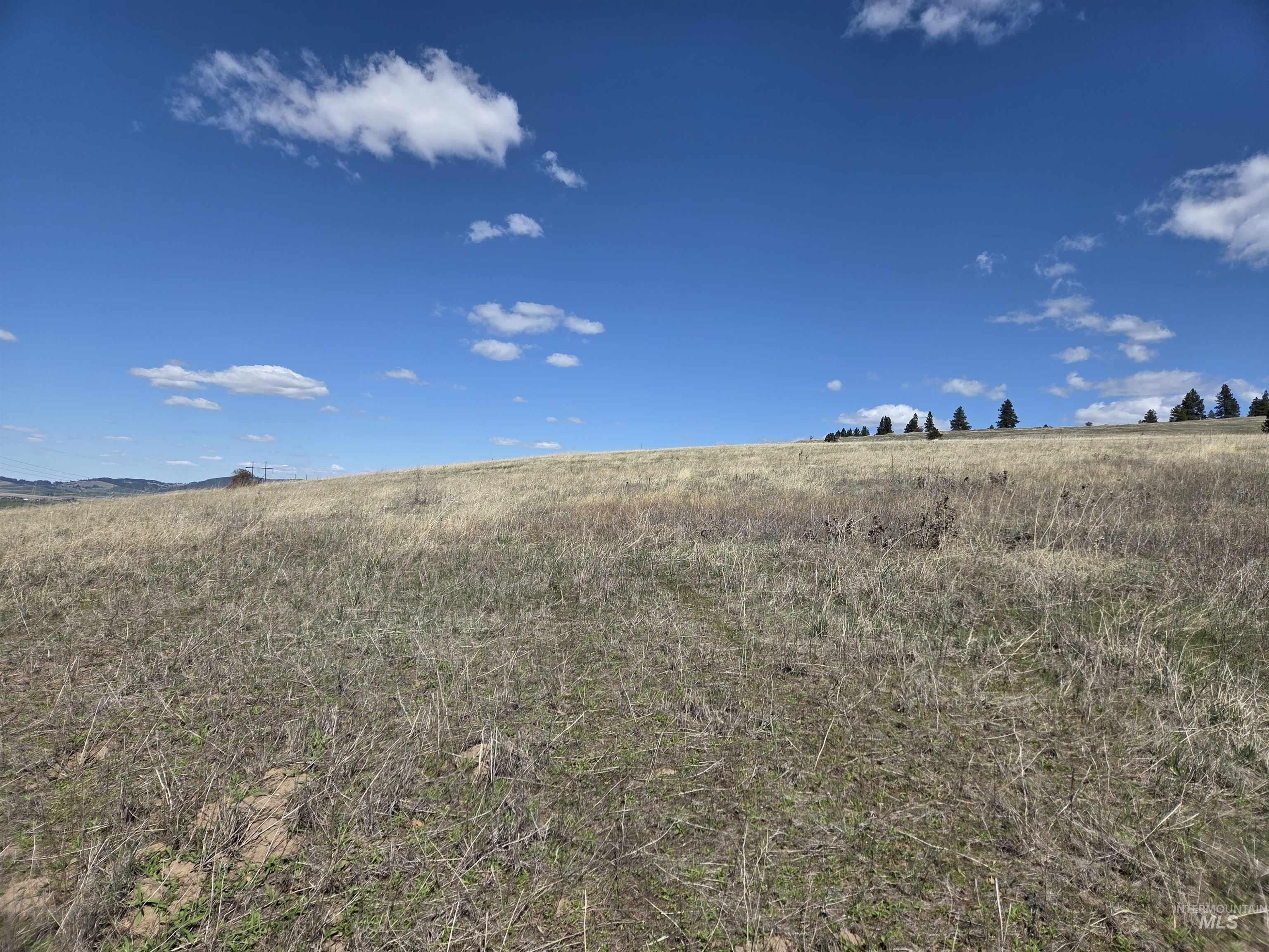 Tbd Lenville Road Property Photo 21