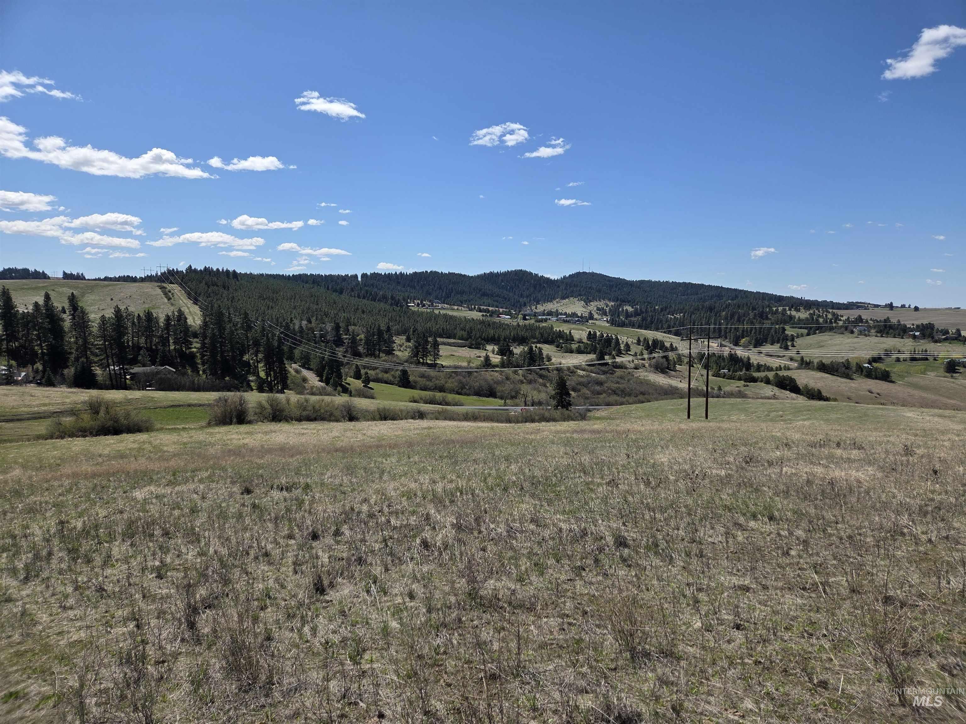 Tbd Lenville Road Property Photo 24