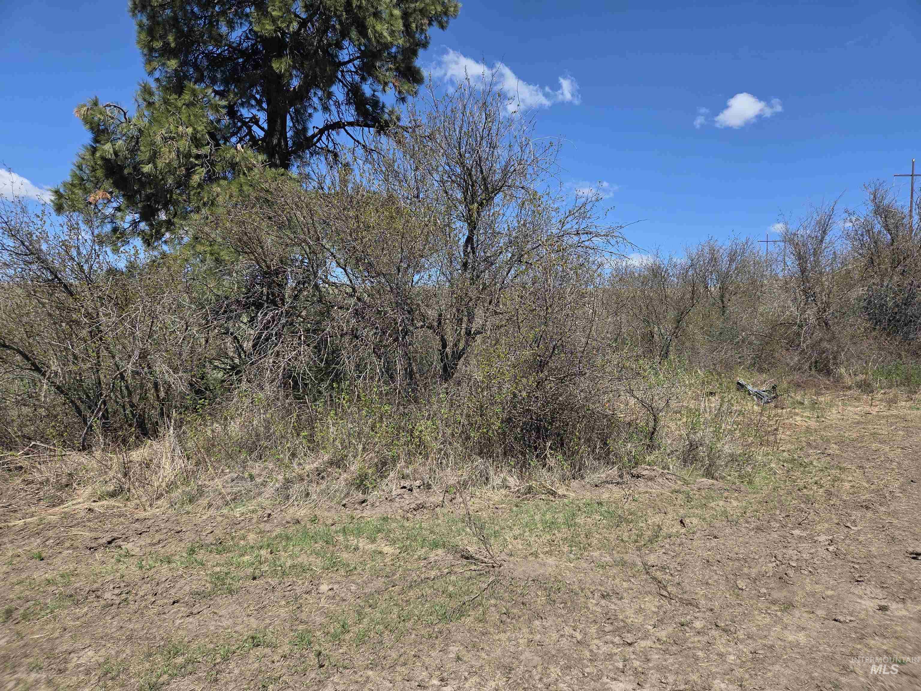 Tbd Lenville Road Property Photo 25