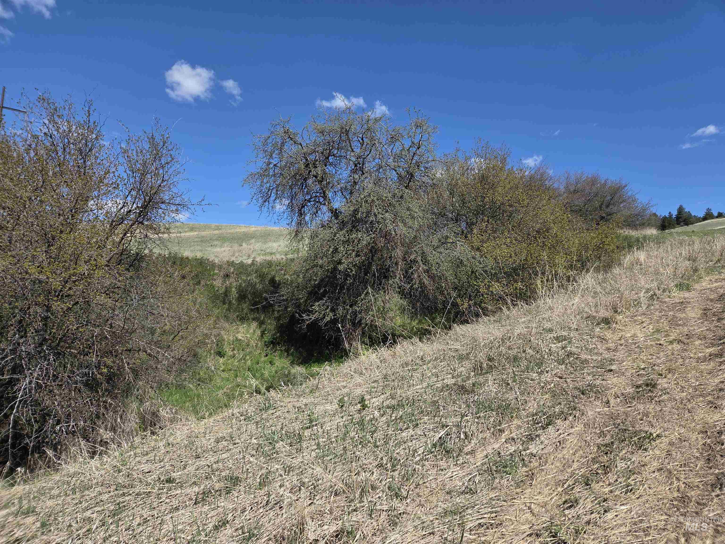 Tbd Lenville Road Property Photo 26