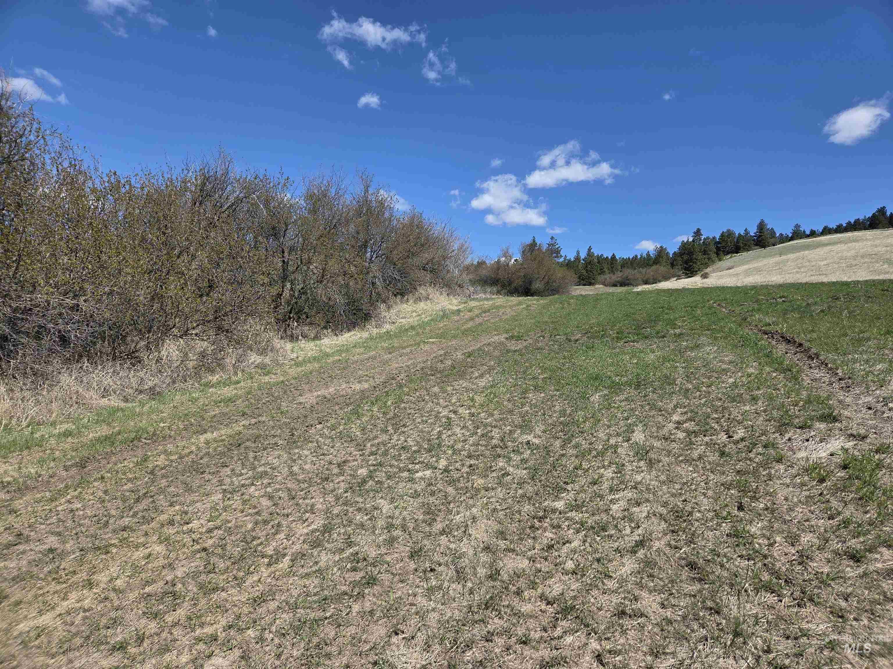 Tbd Lenville Road Property Photo 28