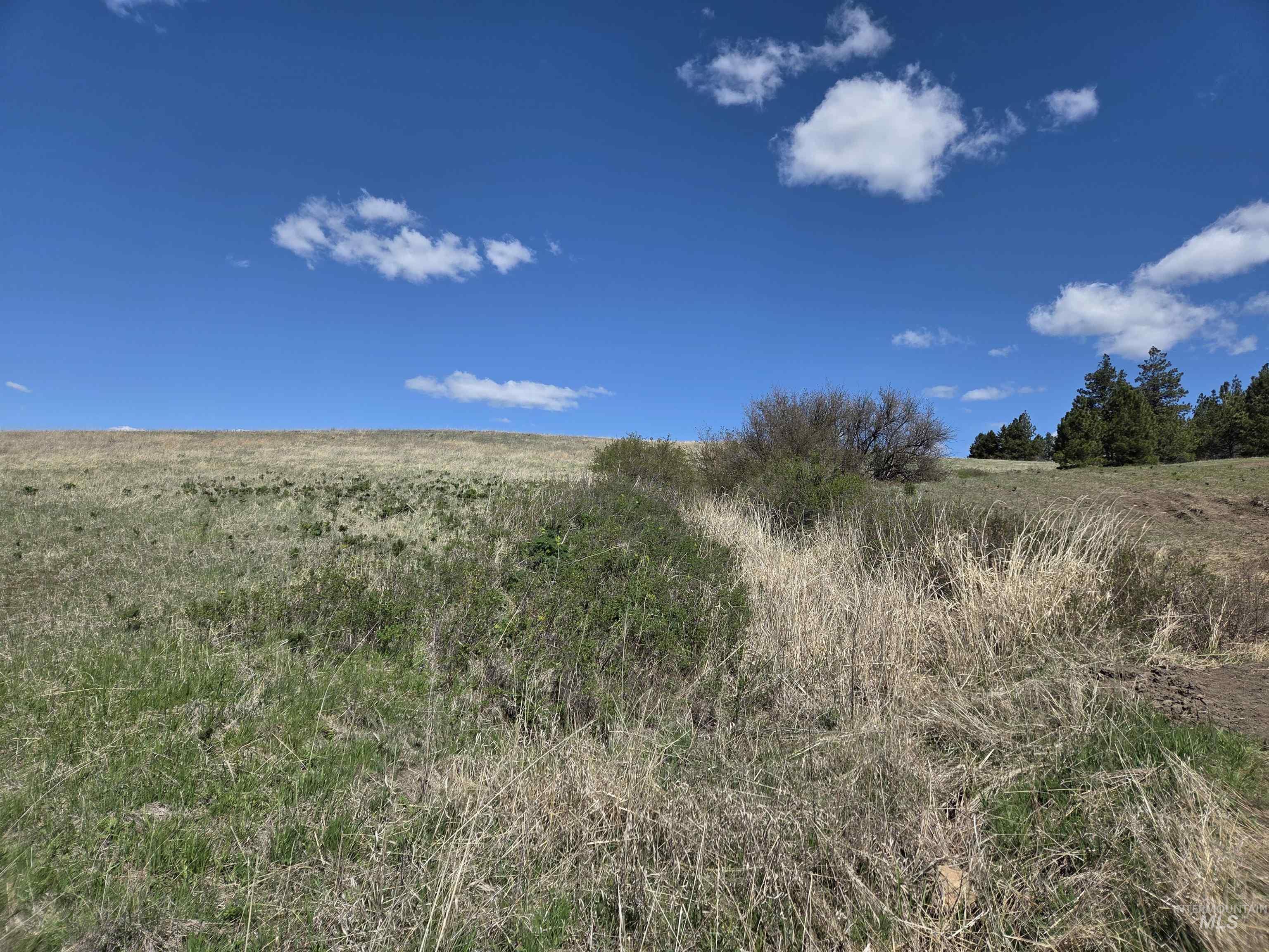 Tbd Lenville Road Property Photo 32